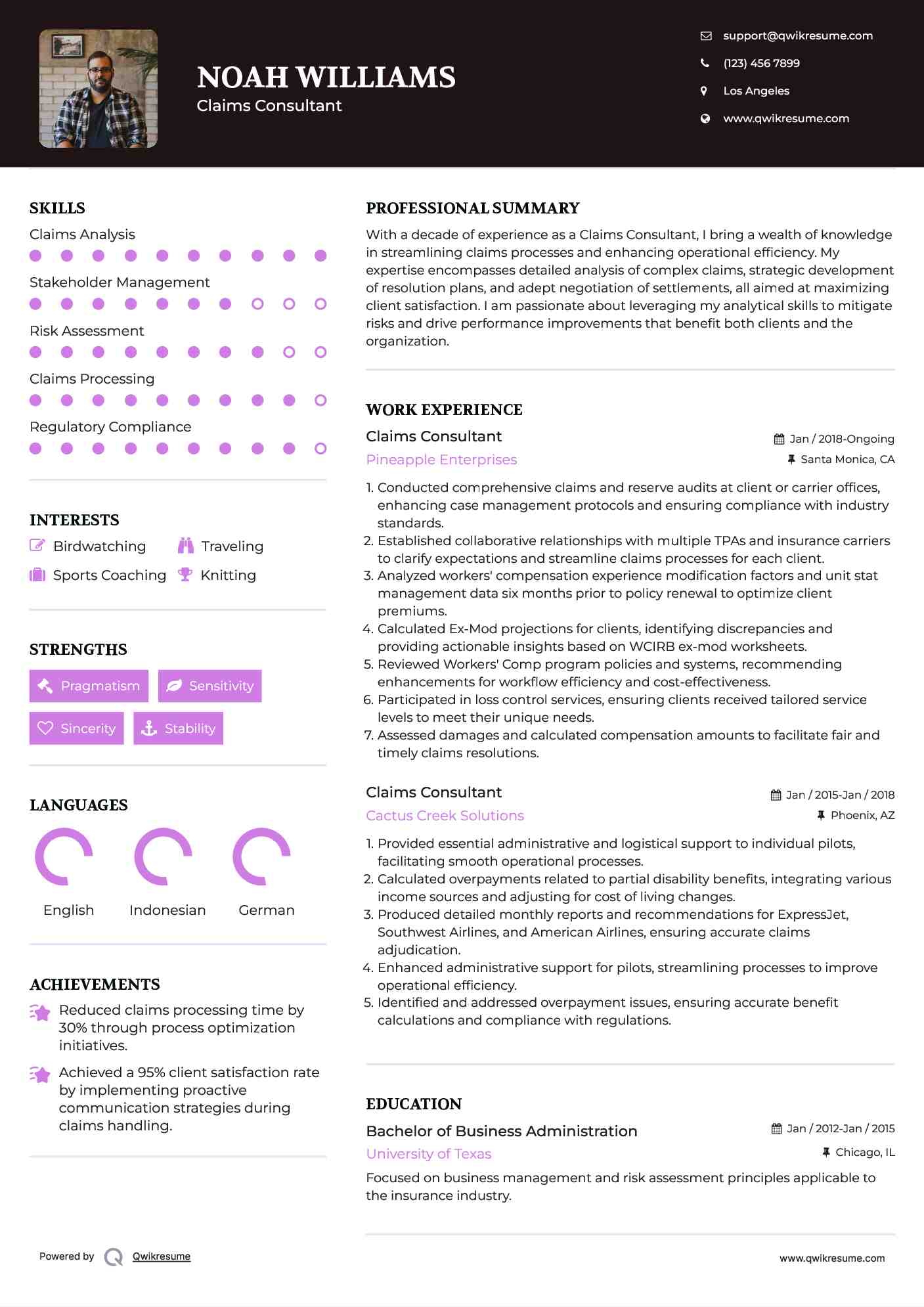 Claims Consultant Resume Model
