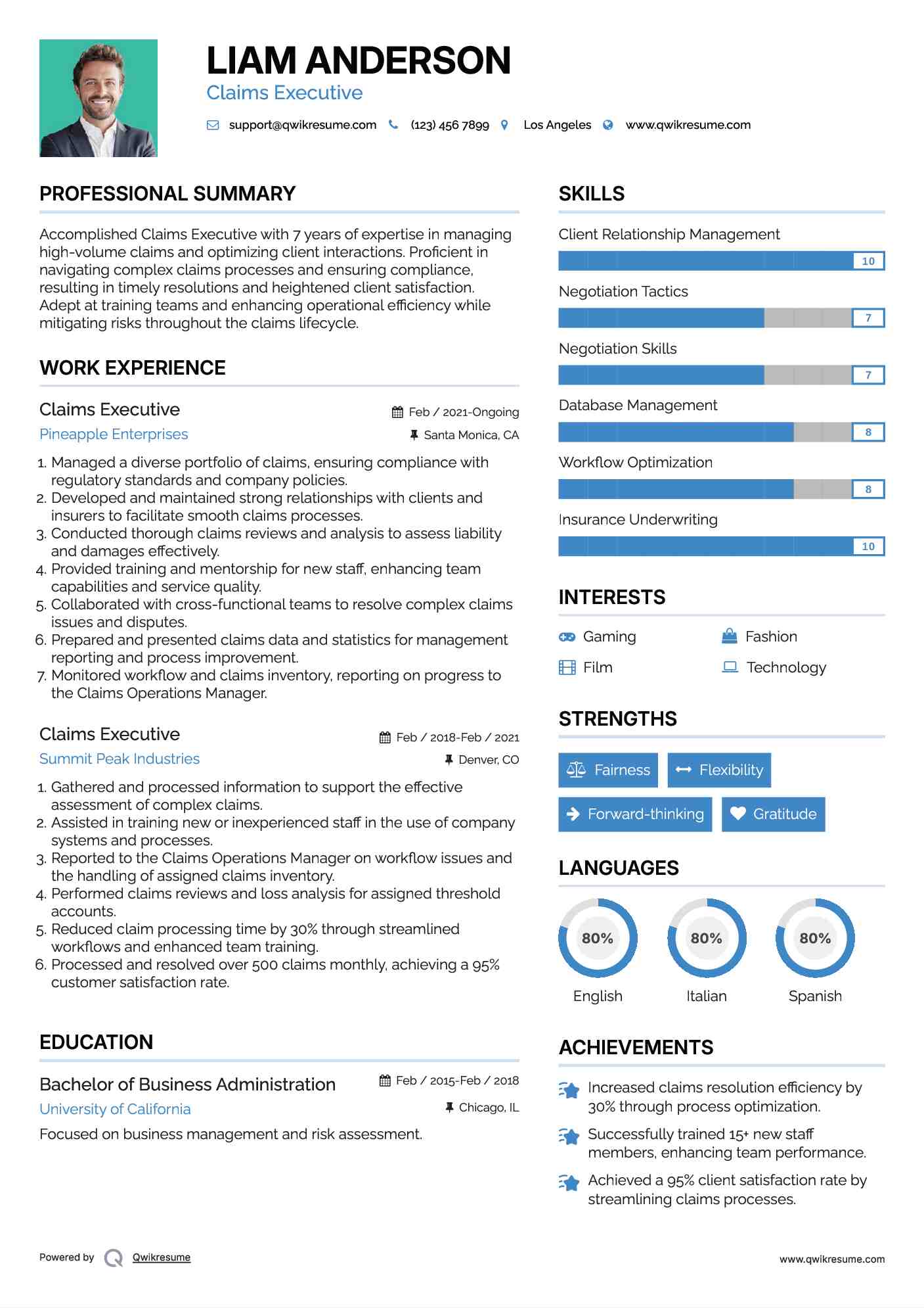Claims Executive Resume Model