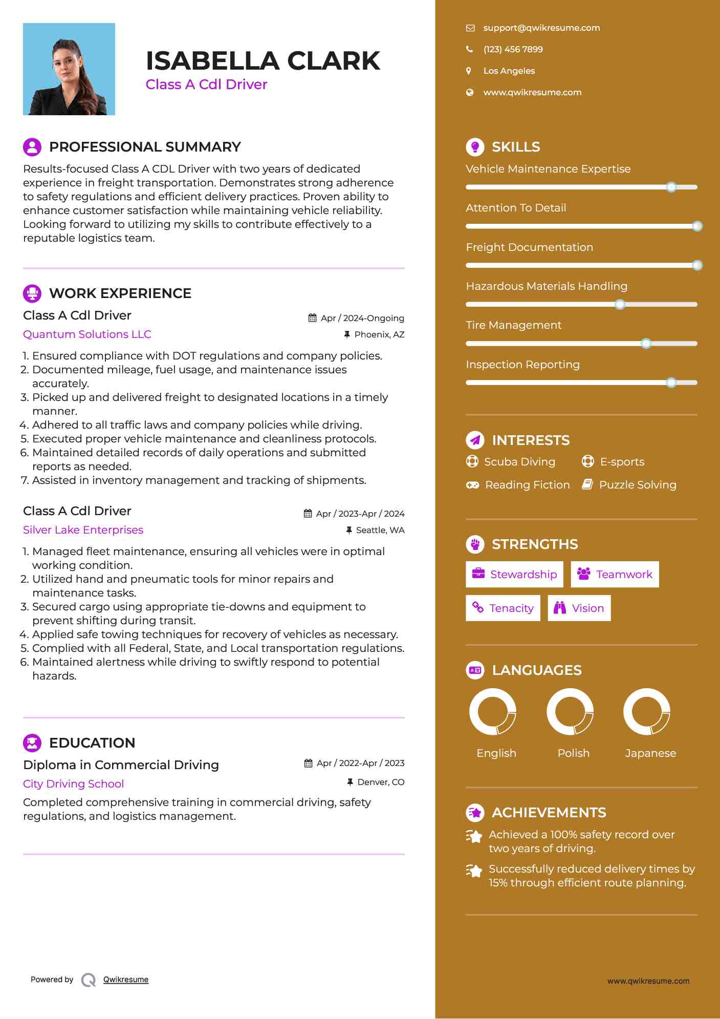 Class A Cdl Driver Resume Template