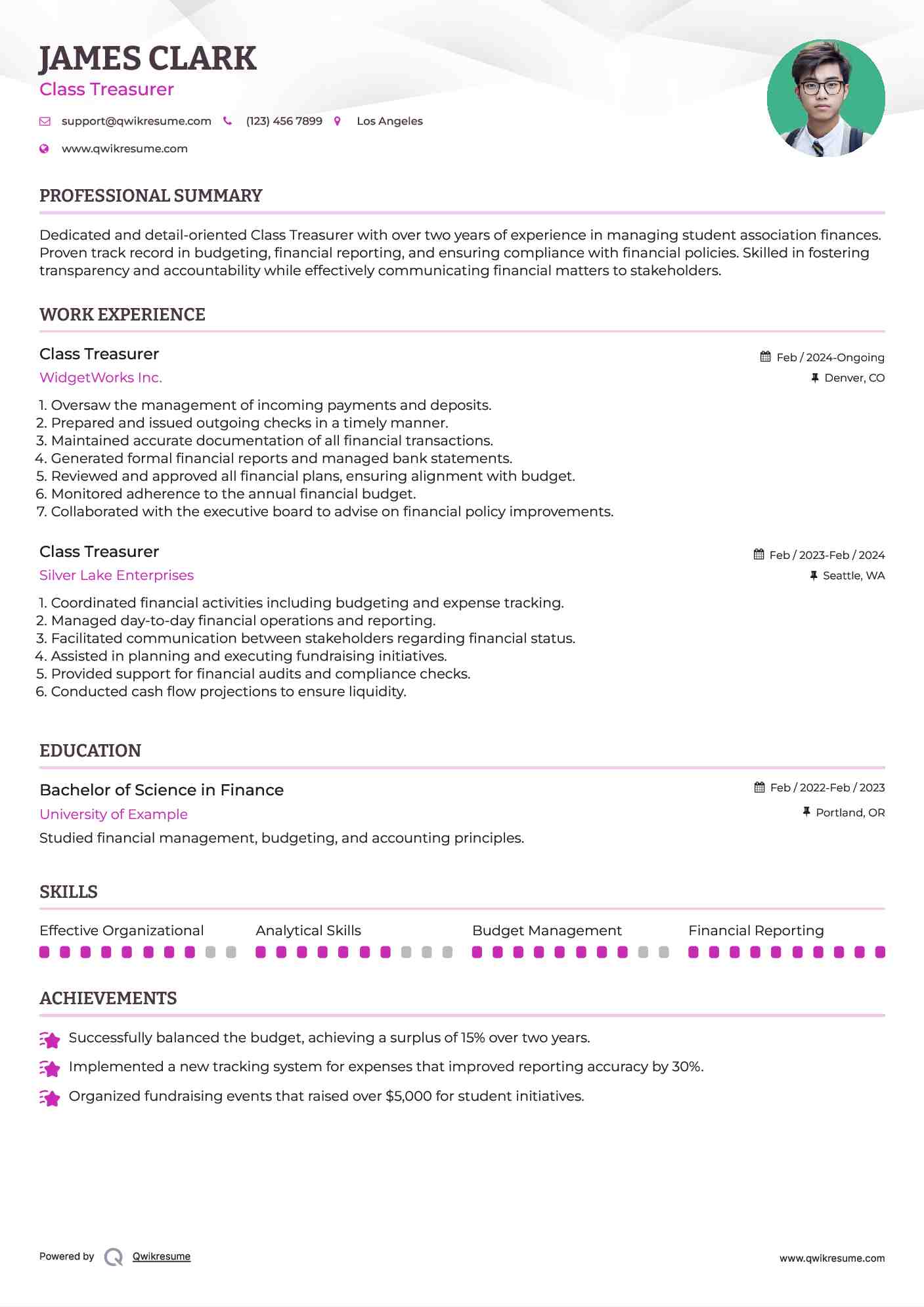 Class Treasurer Resume Example