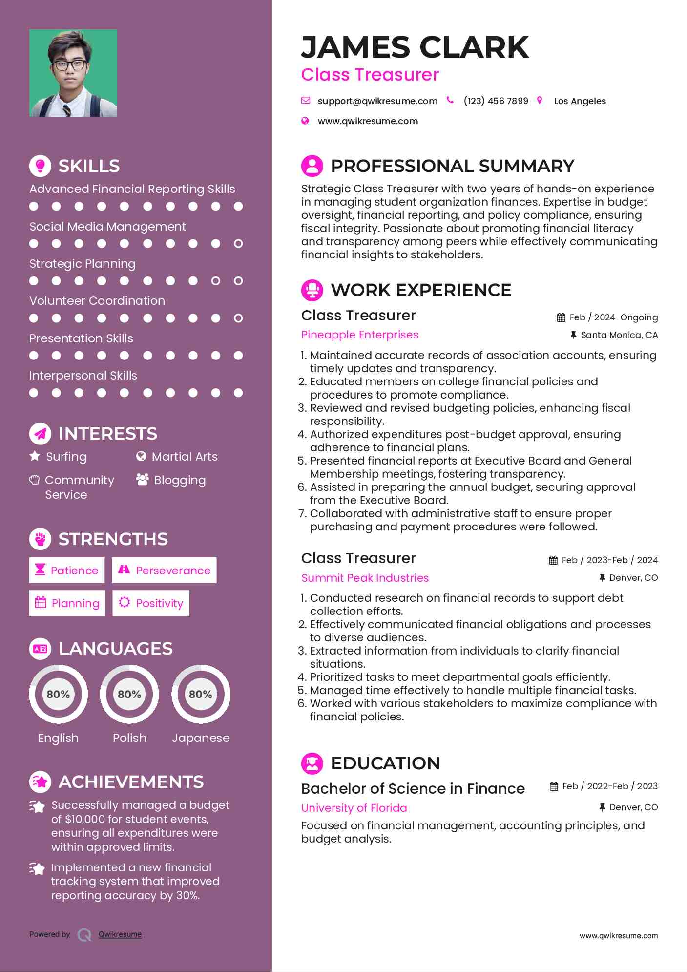 Class Treasurer Resume Template