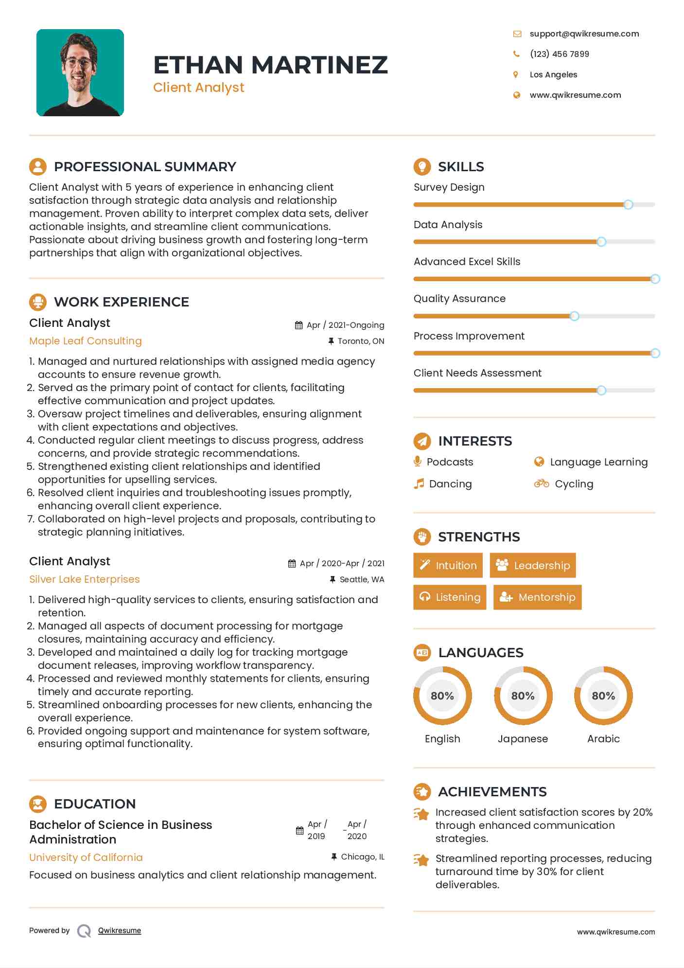 Client Analyst Resume Example