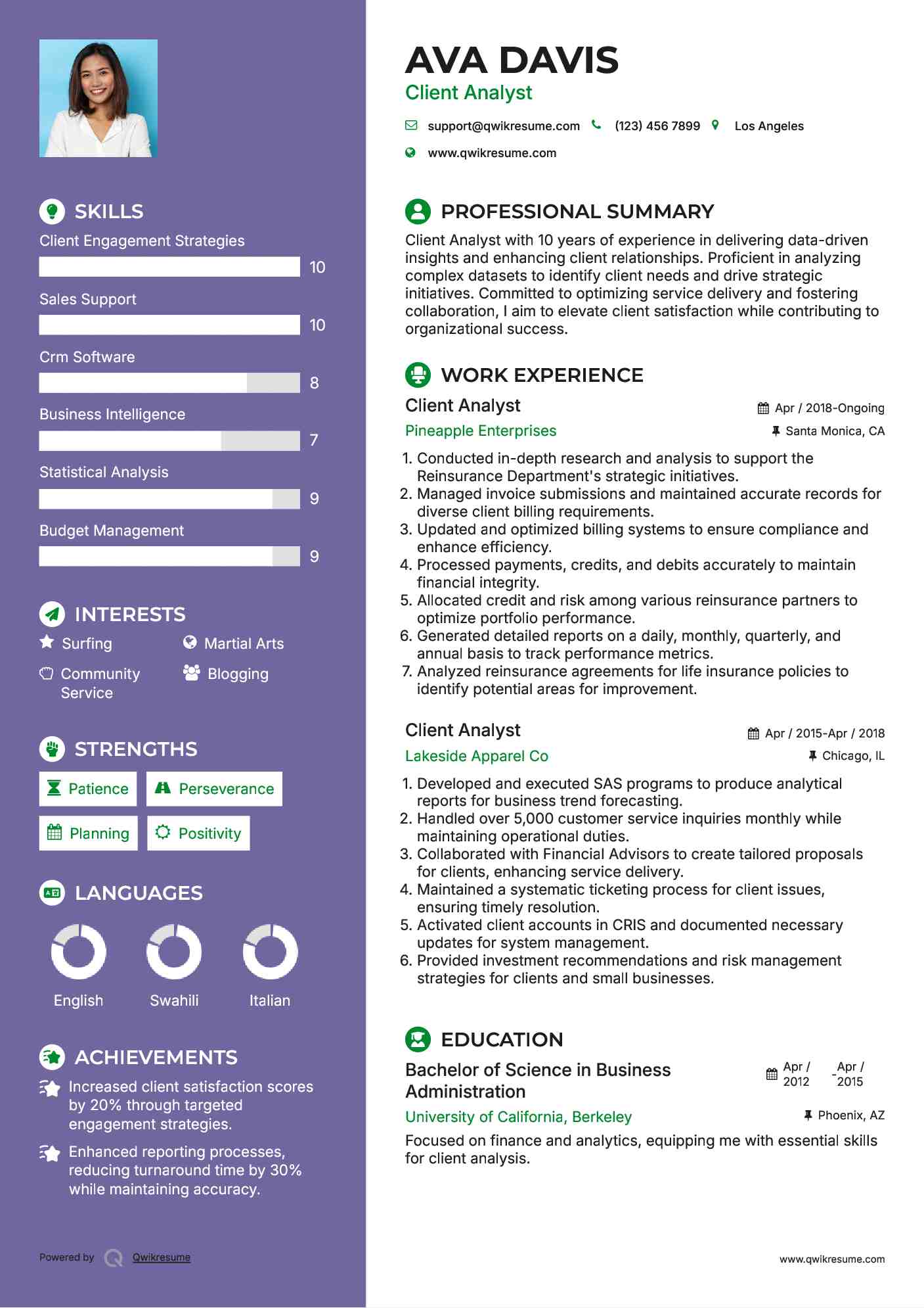 Client Analyst Resume Model