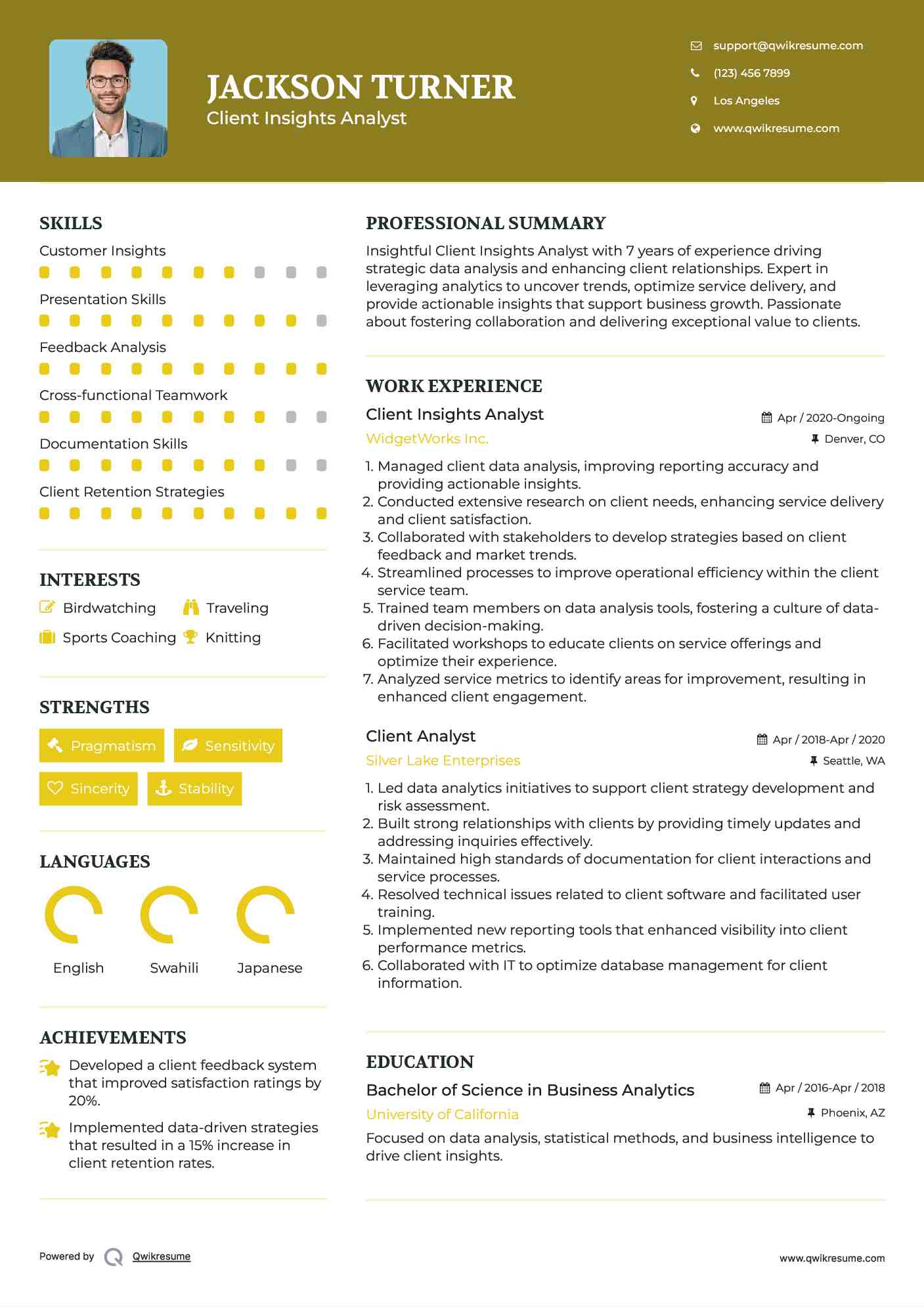 Client Insights Analyst Resume Model