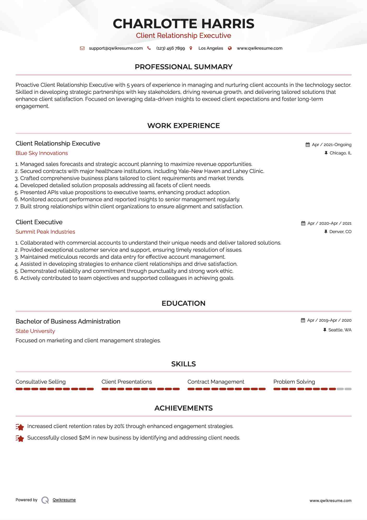 Client Relationship Executive Resume Example