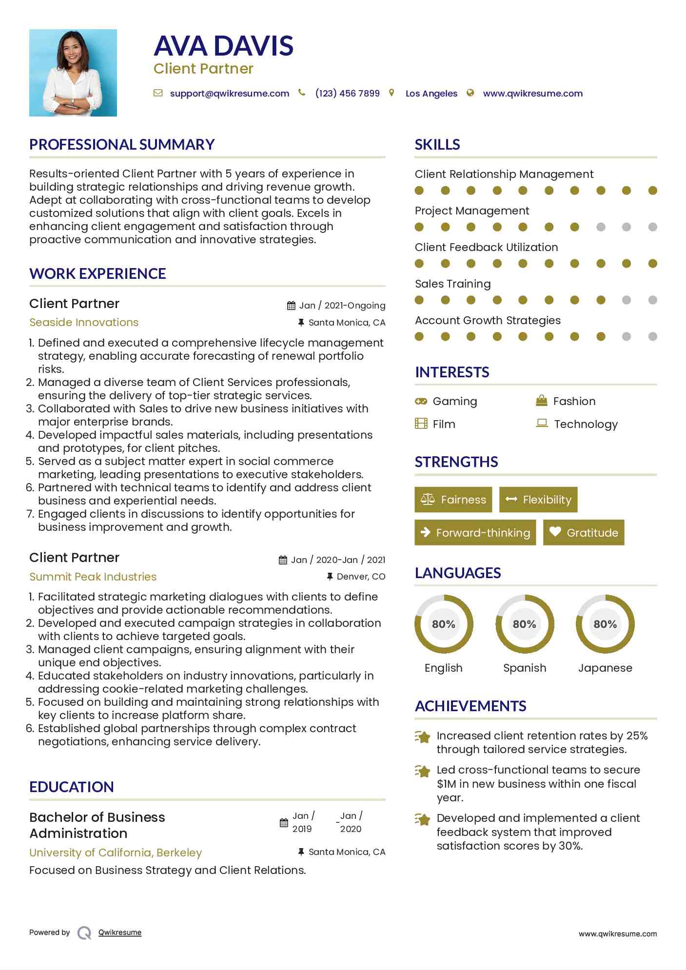 Client Partner Resume Example