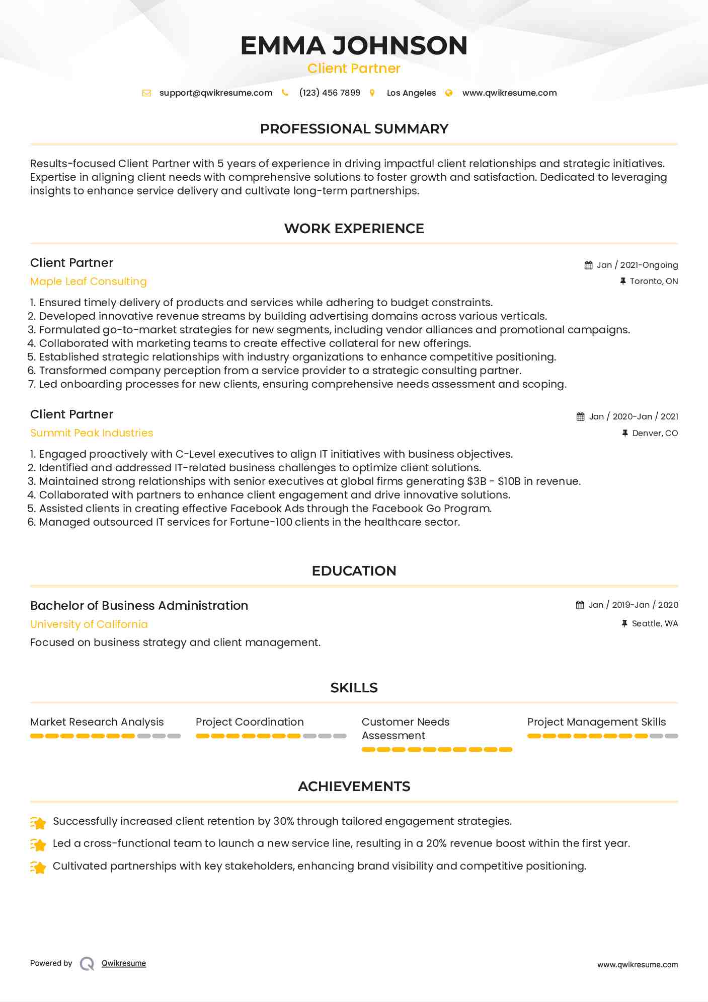 Client Partner Resume Model