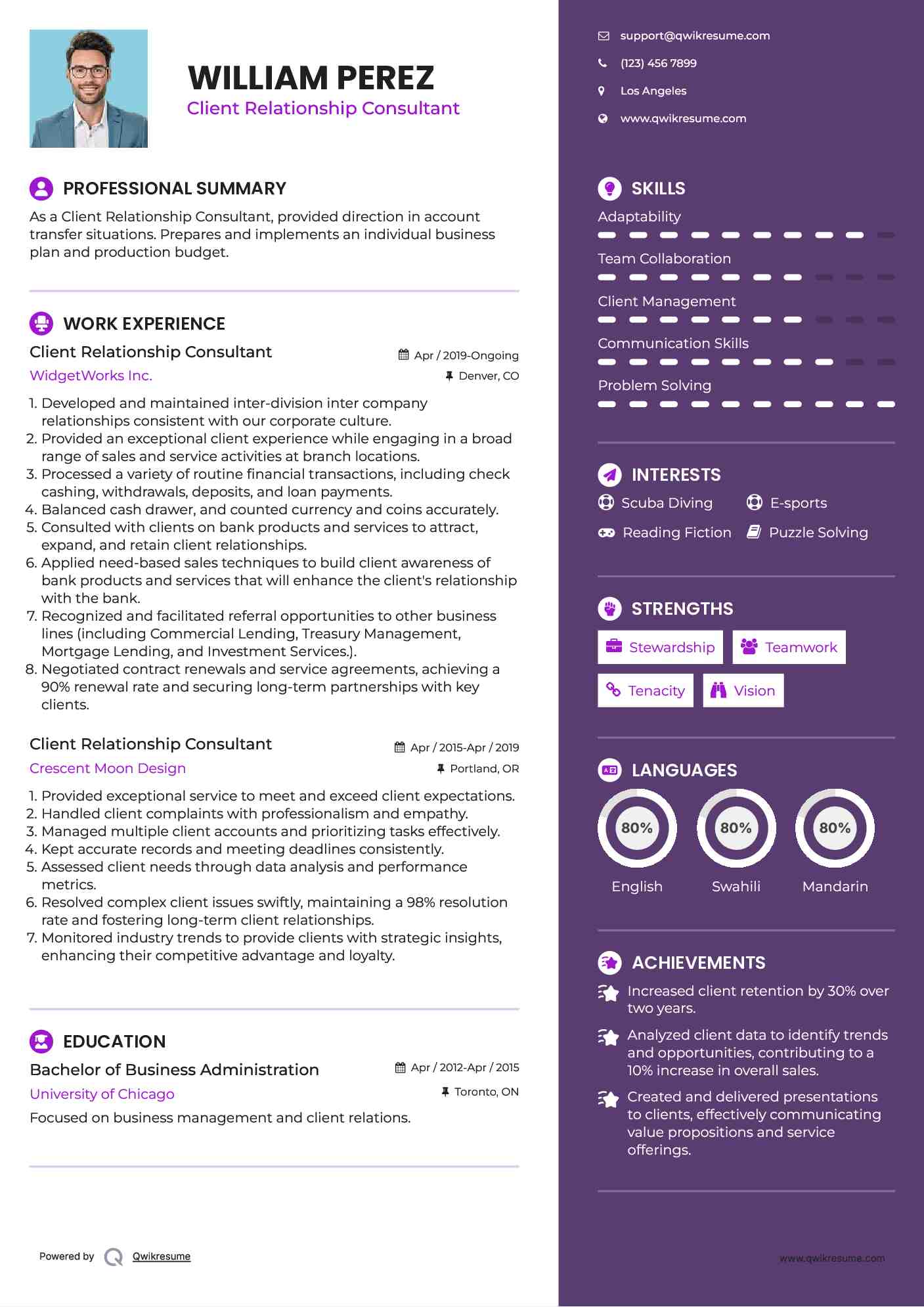 Client Relationship Consultant Resume Model