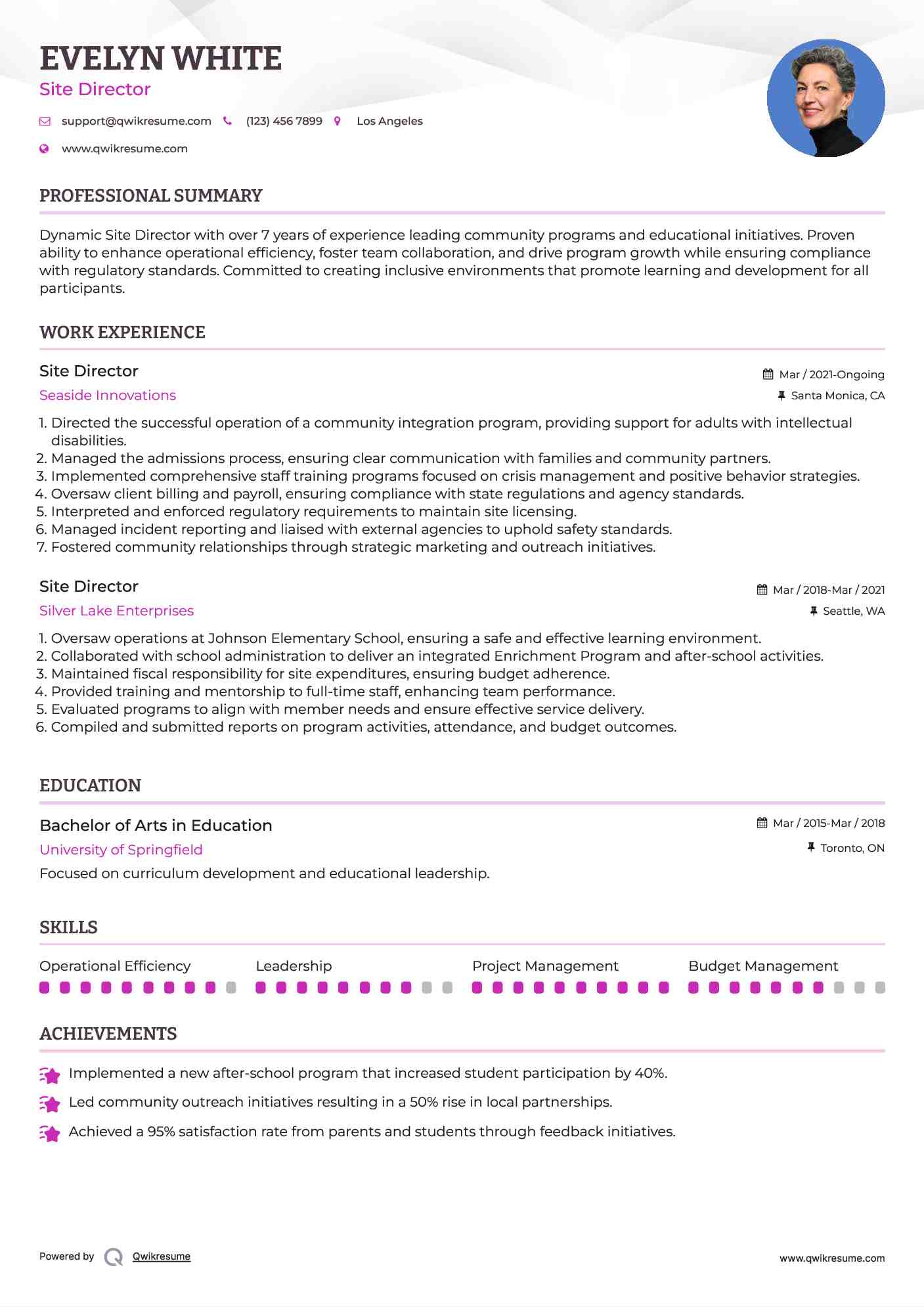 Site Director Resume Example