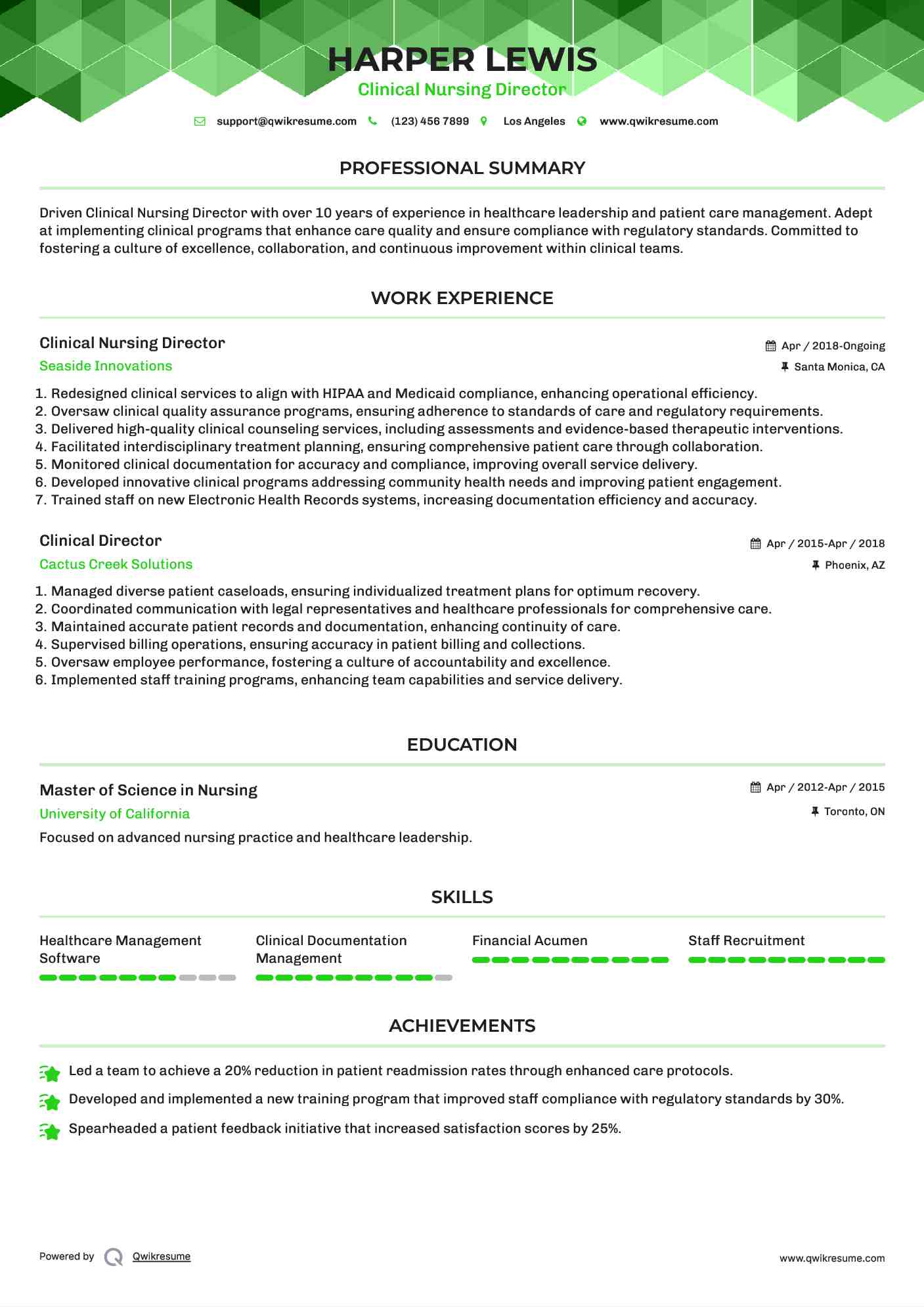Clinical Nursing Director  Resume Template