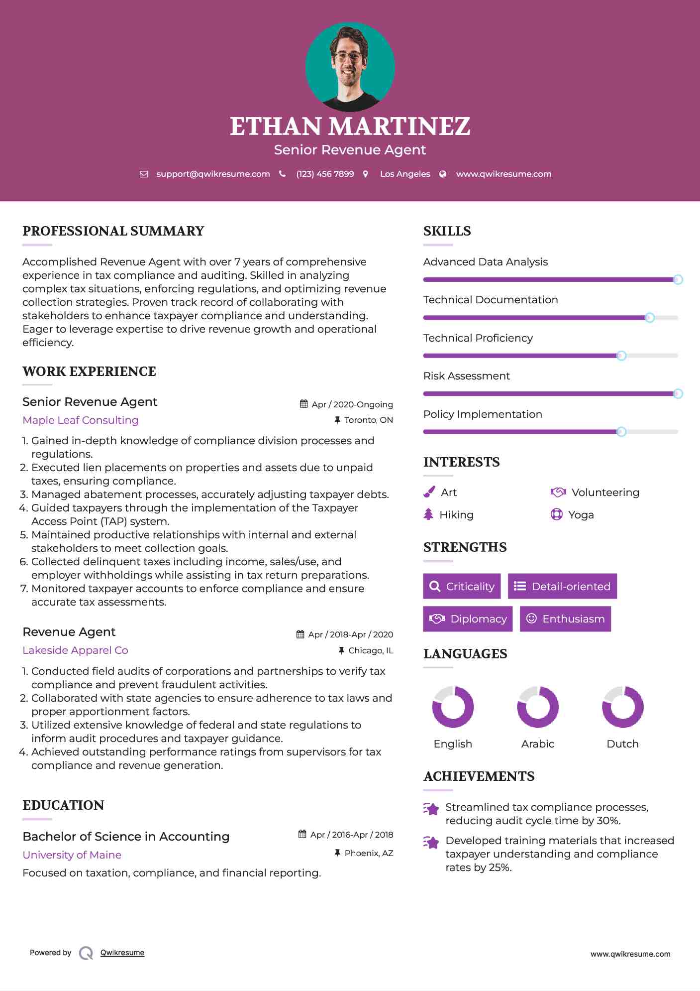 Senior Revenue Agent Resume Sample
