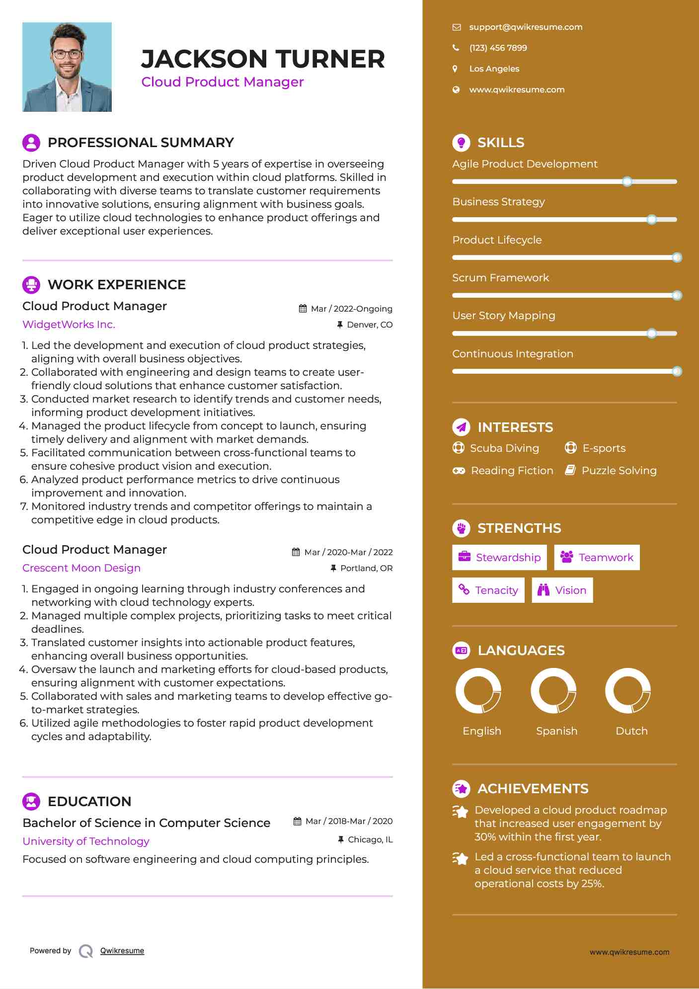 Cloud Product Manager Resume Sample