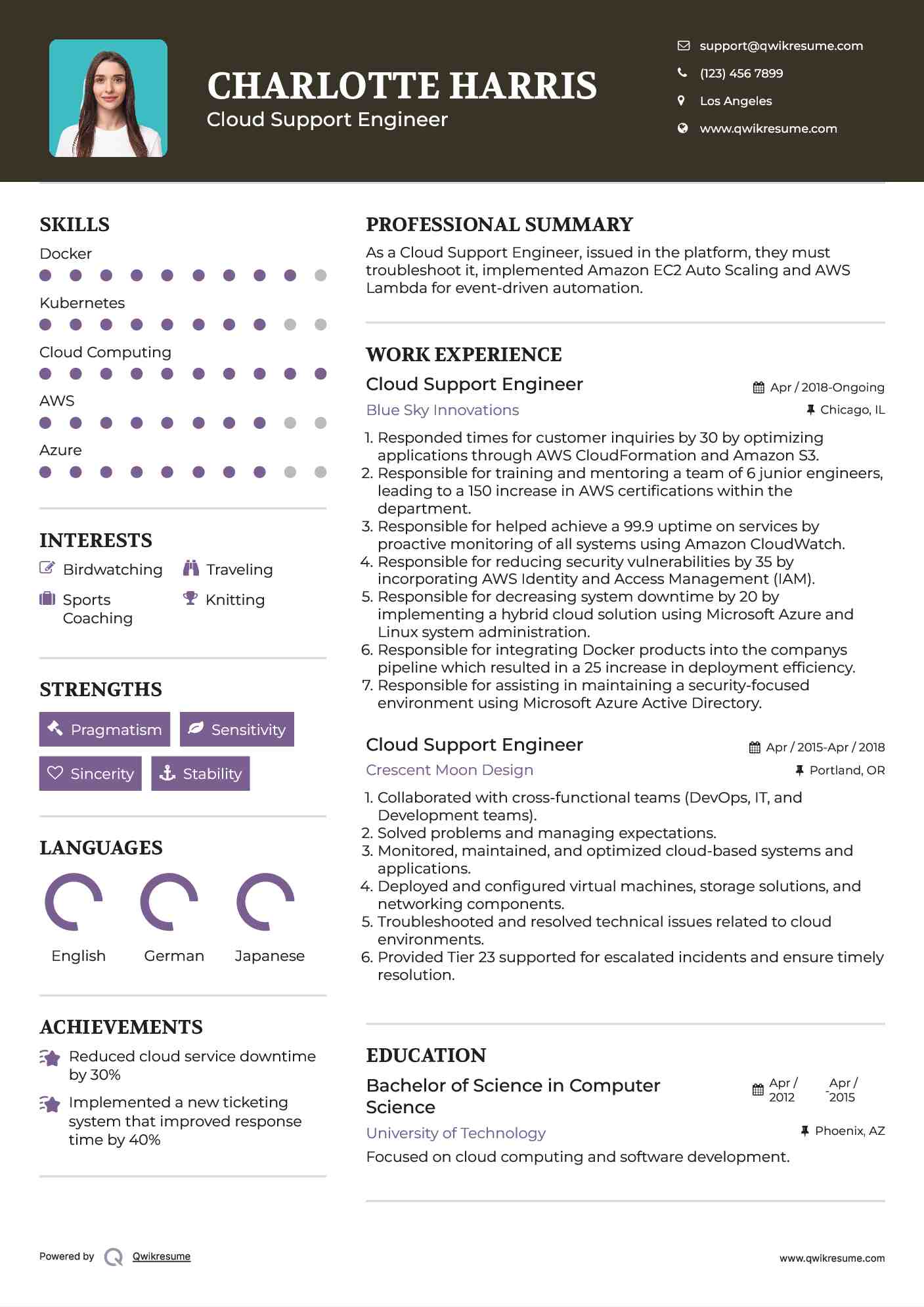Cloud Support Engineer Resume Model