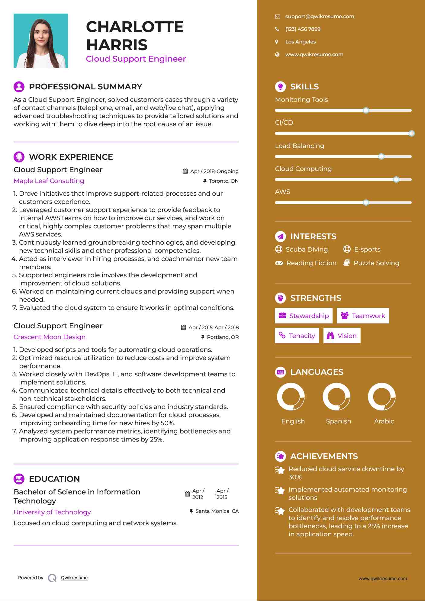 Cloud Support Engineer Resume Example
