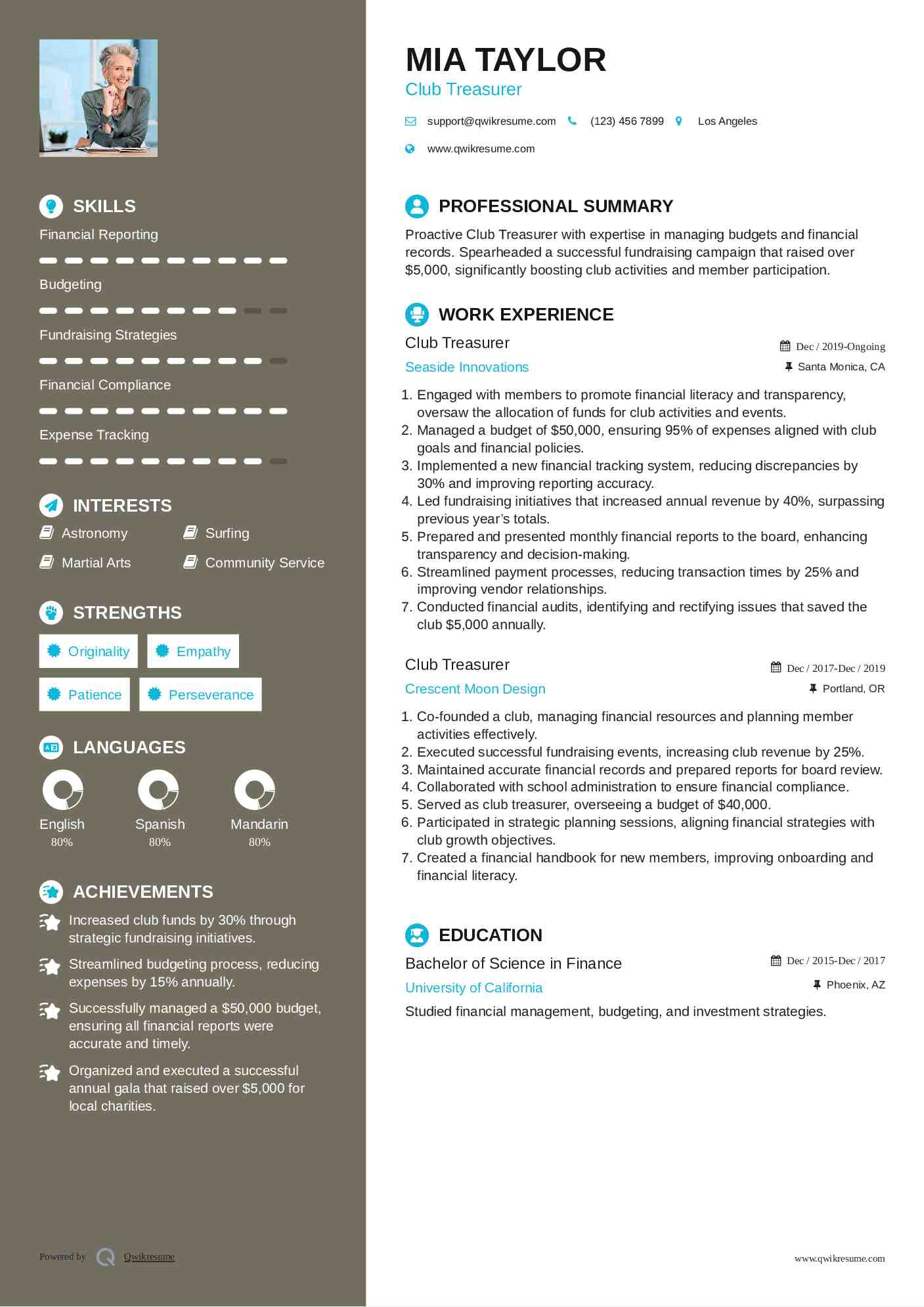 Club Treasurer Resume Sample