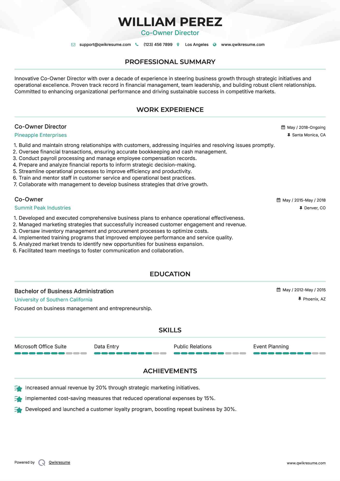 Co-Owner Director Resume Sample