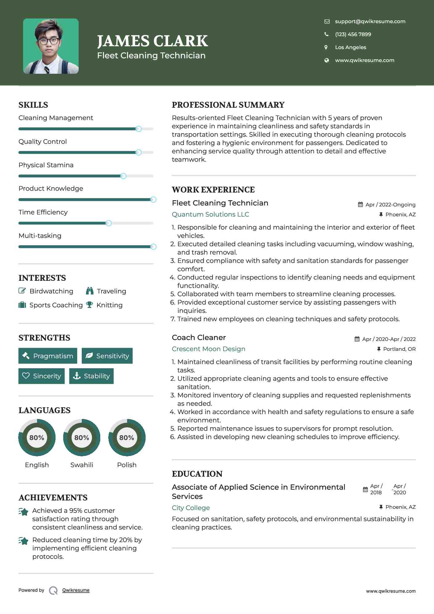 Fleet Cleaning Technician Resume Template