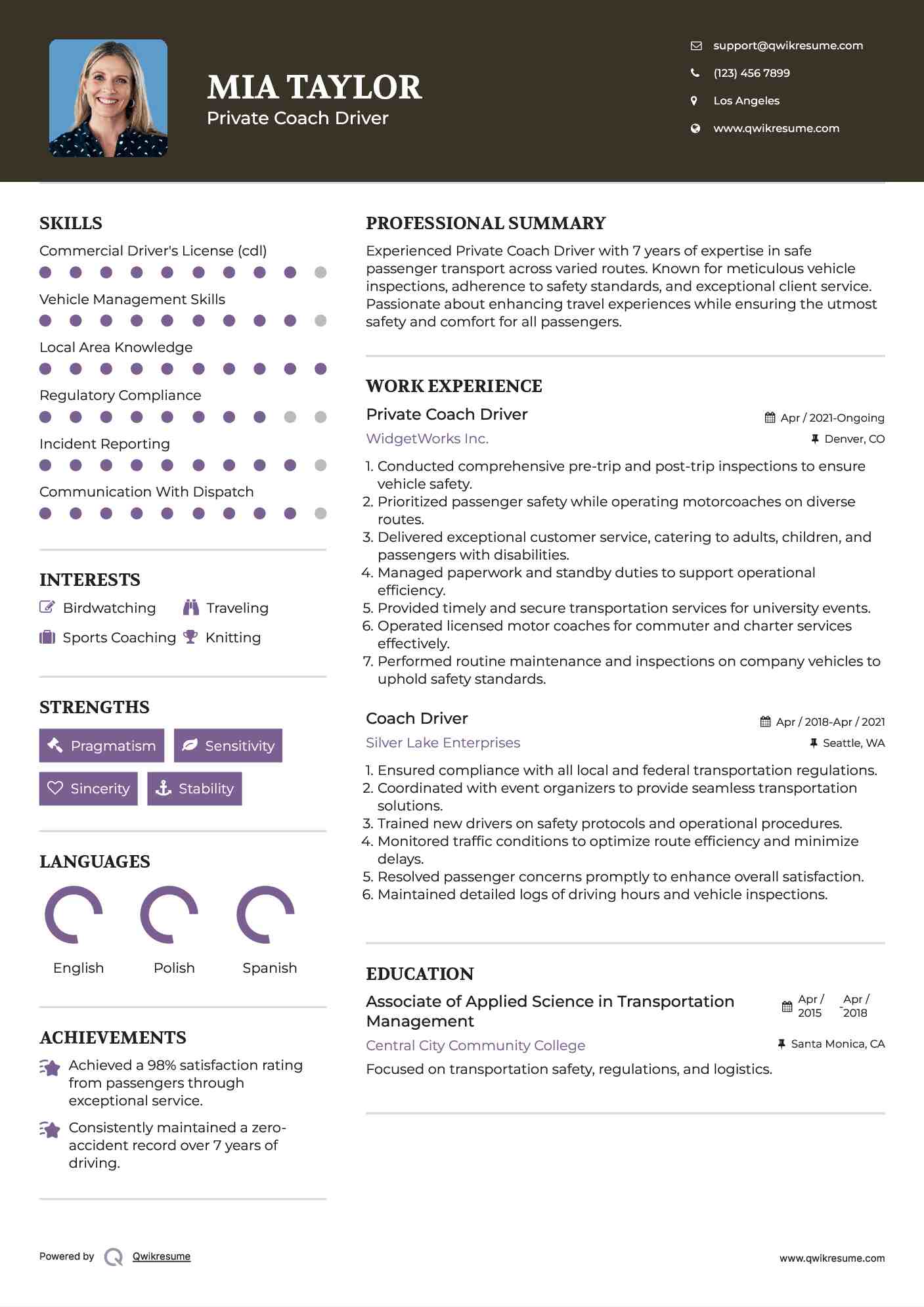 Private Coach Driver Resume Model