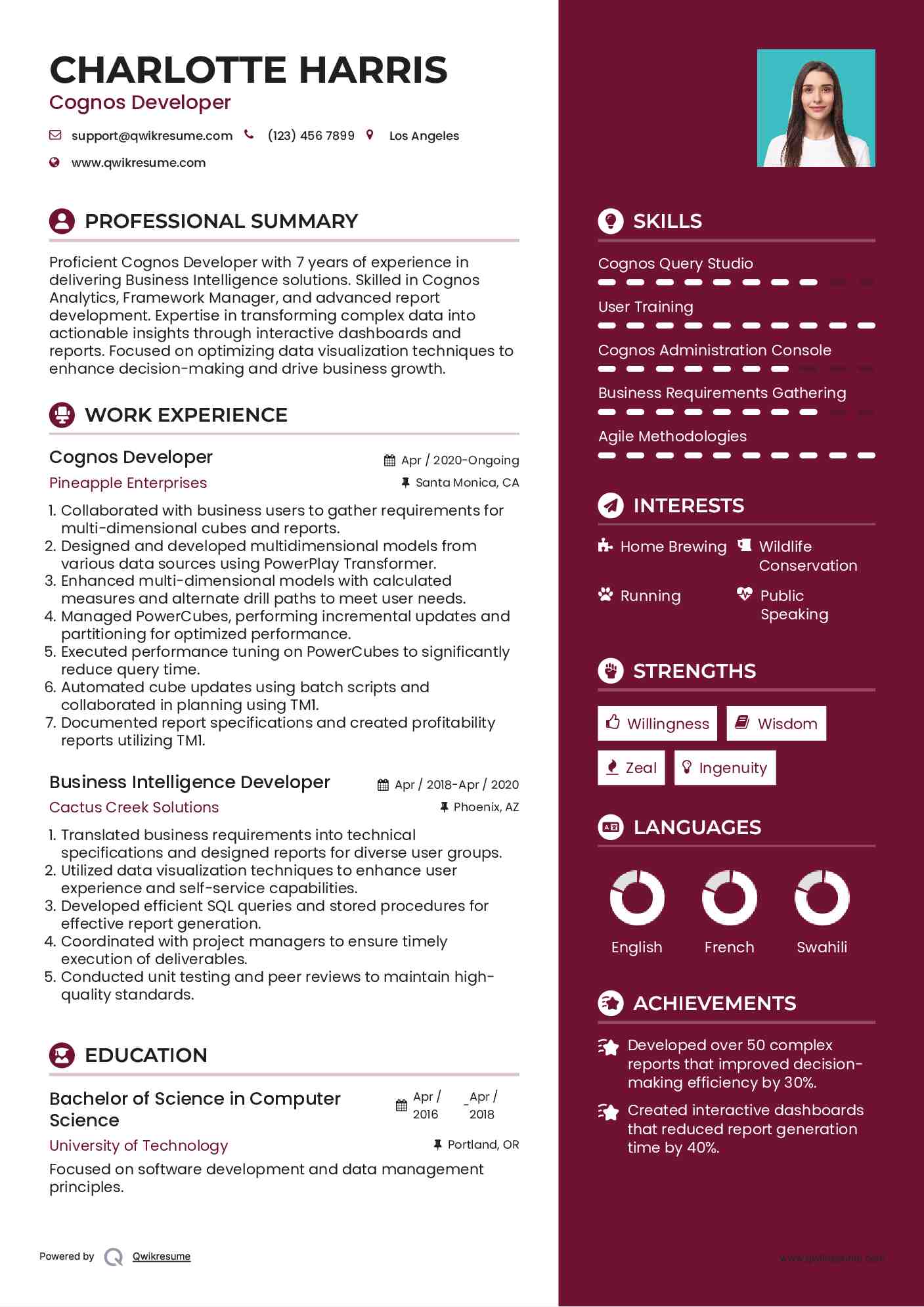 Cognos Developer Resume example