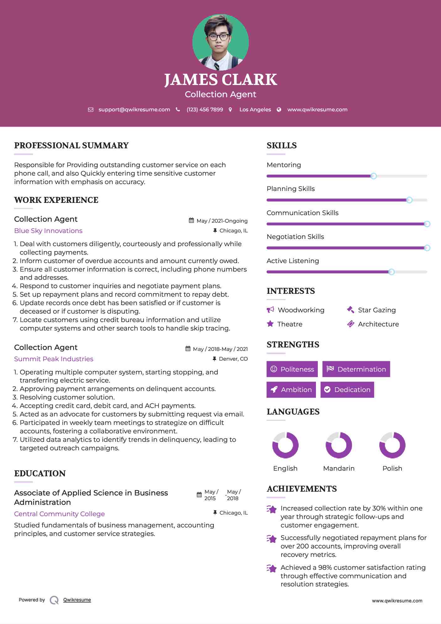 Collection Agent Resume Example