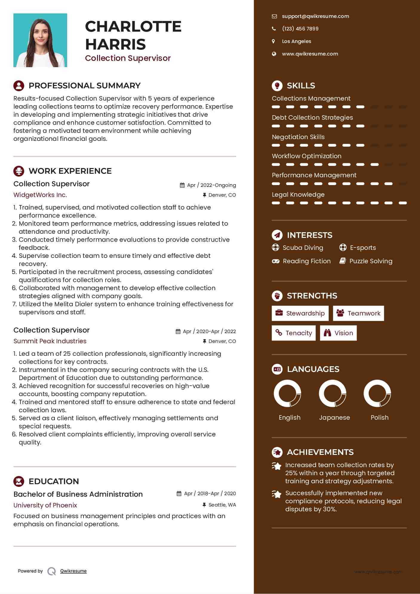 Collection Supervisor Resume Example