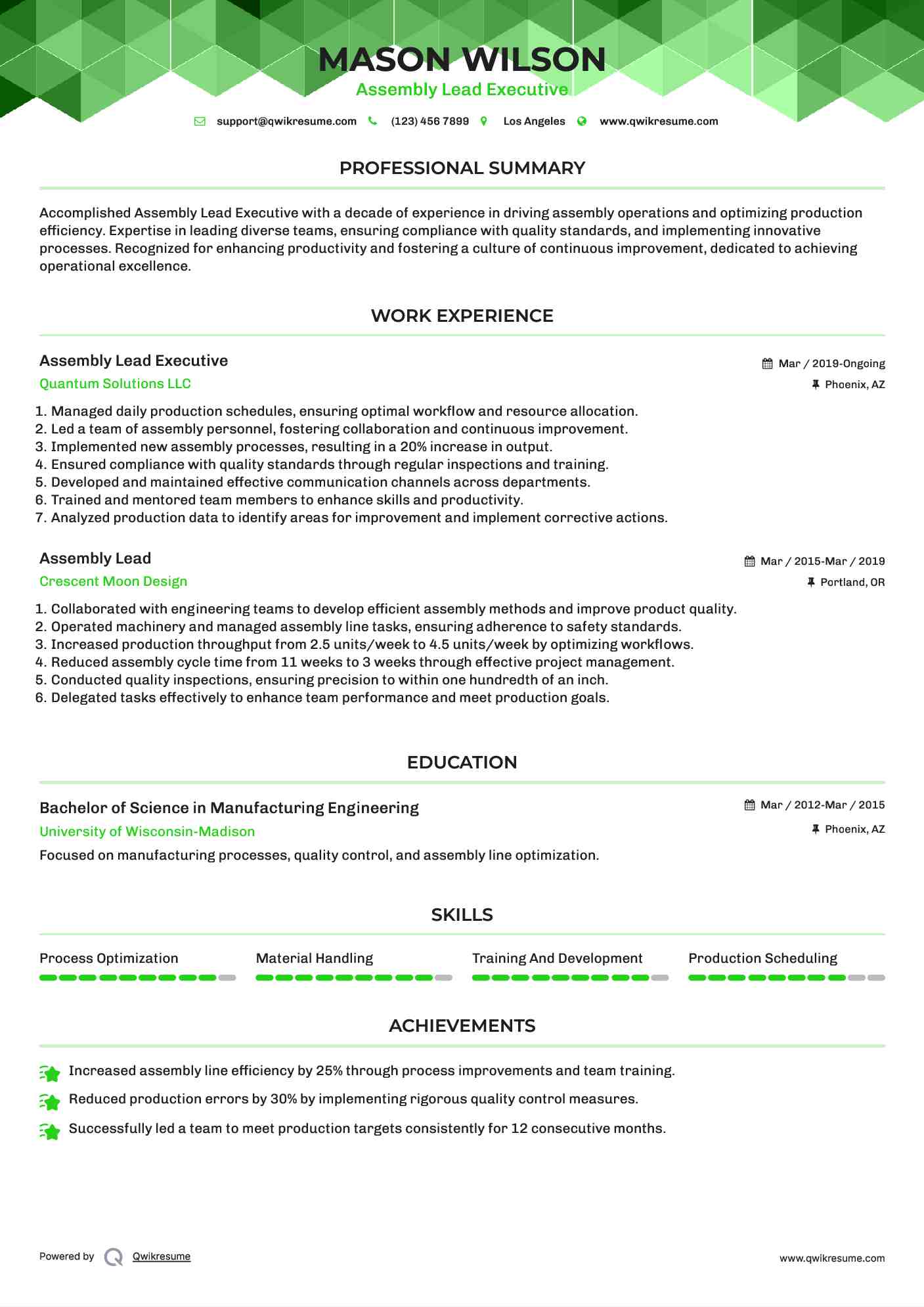 Assembly Lead Executive Resume Model