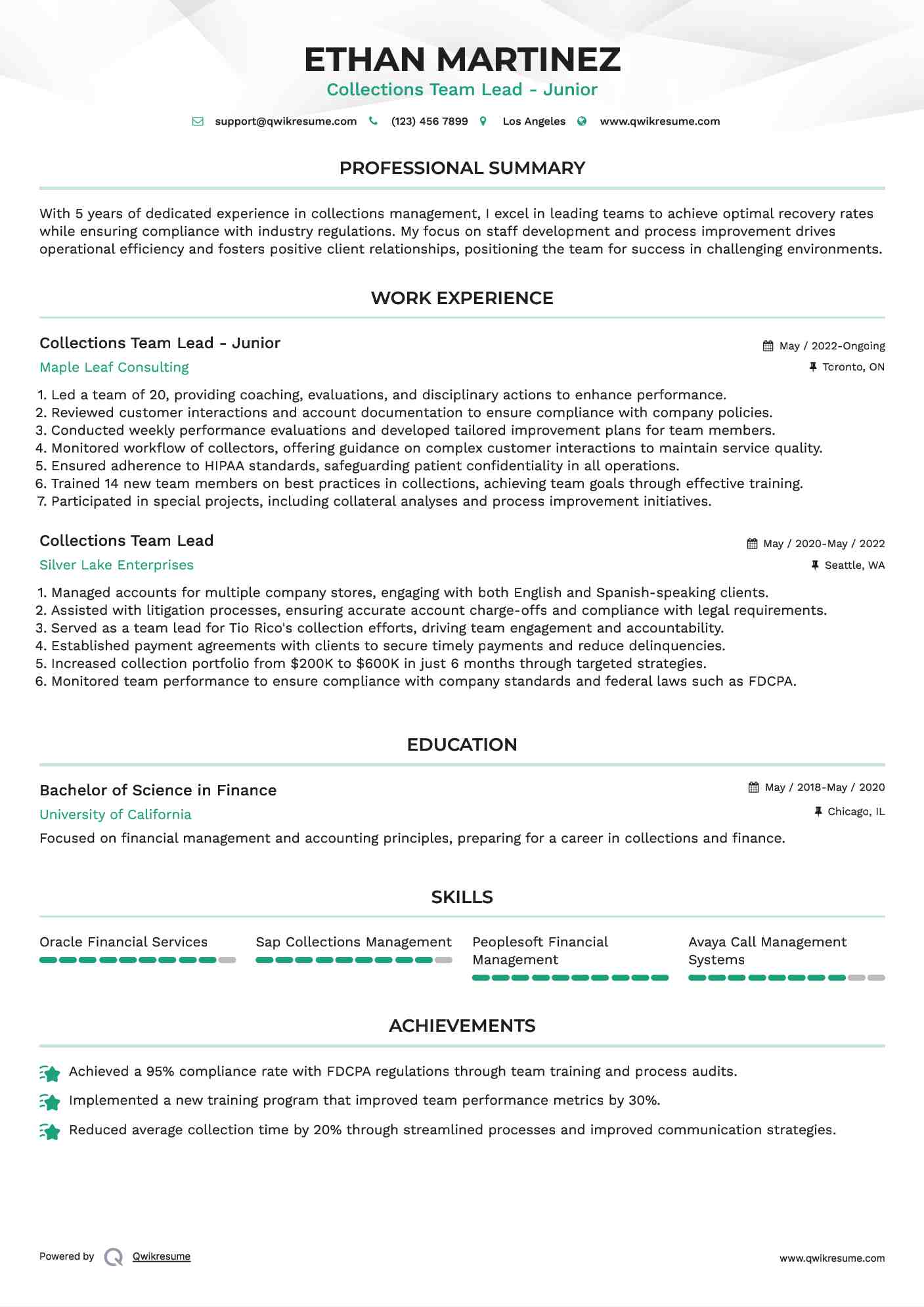 Collections Team Lead - Junior Resume Format
