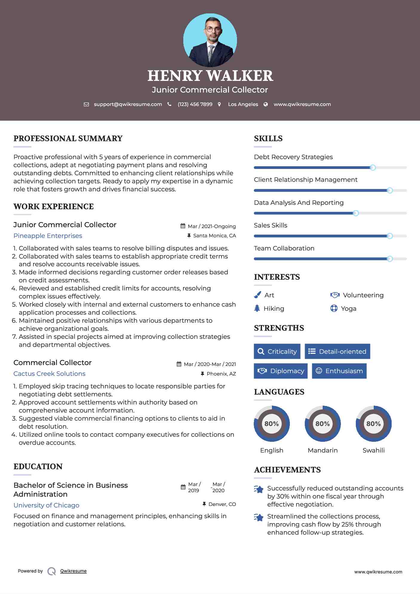 Junior Commercial Collector Resume Example