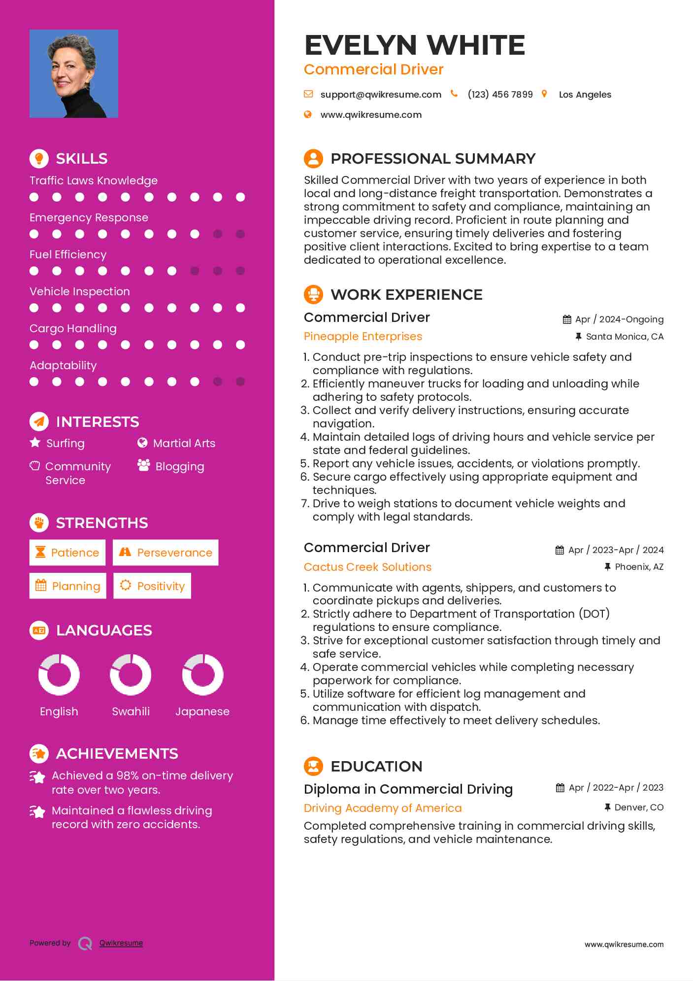 Commercial Driver Resume Example