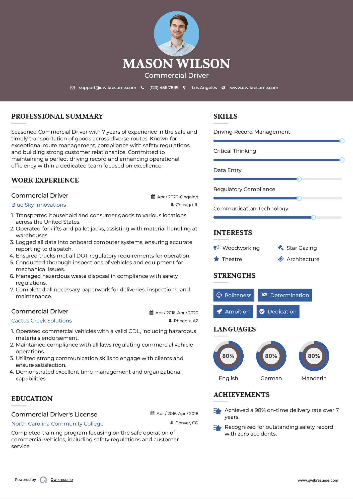 Commercial Driver Resume Example