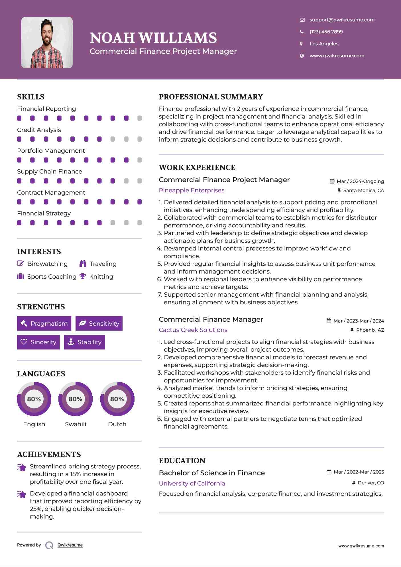 Commercial Finance Project Manager Resume Template