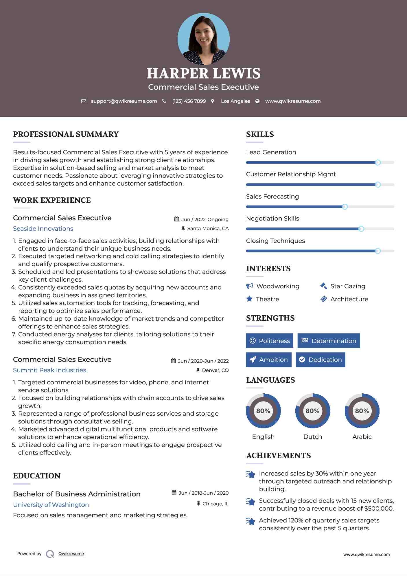 Commercial Sales Executive Resume Model