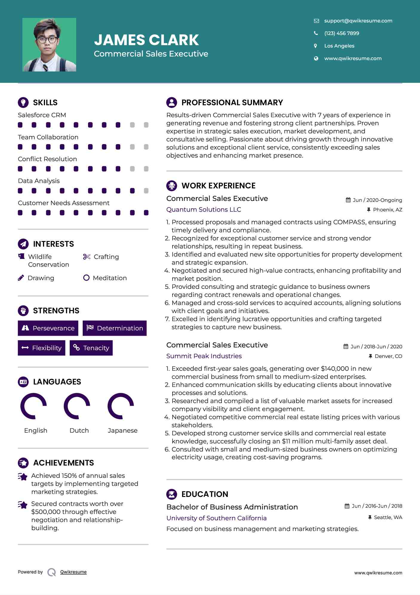 Commercial Sales Executive Resume Sample