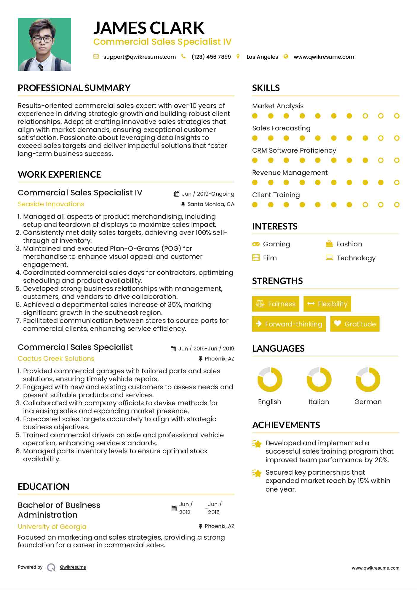 Commercial Sales Specialist IV Resume Sample