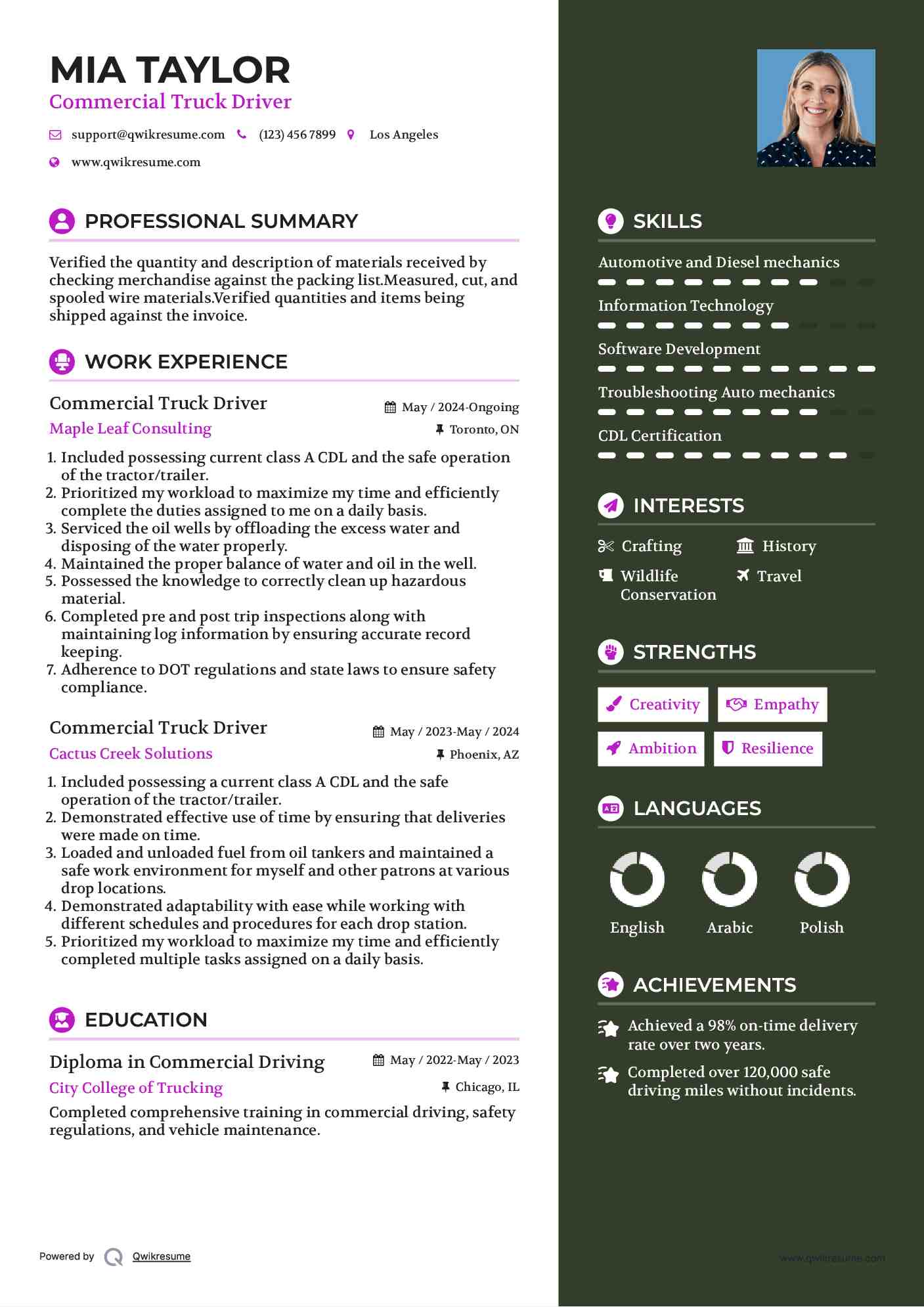 Commercial Truck Driver Resume Samples QwikResume   Commercial Truck Driver 1559388678 Pdf 