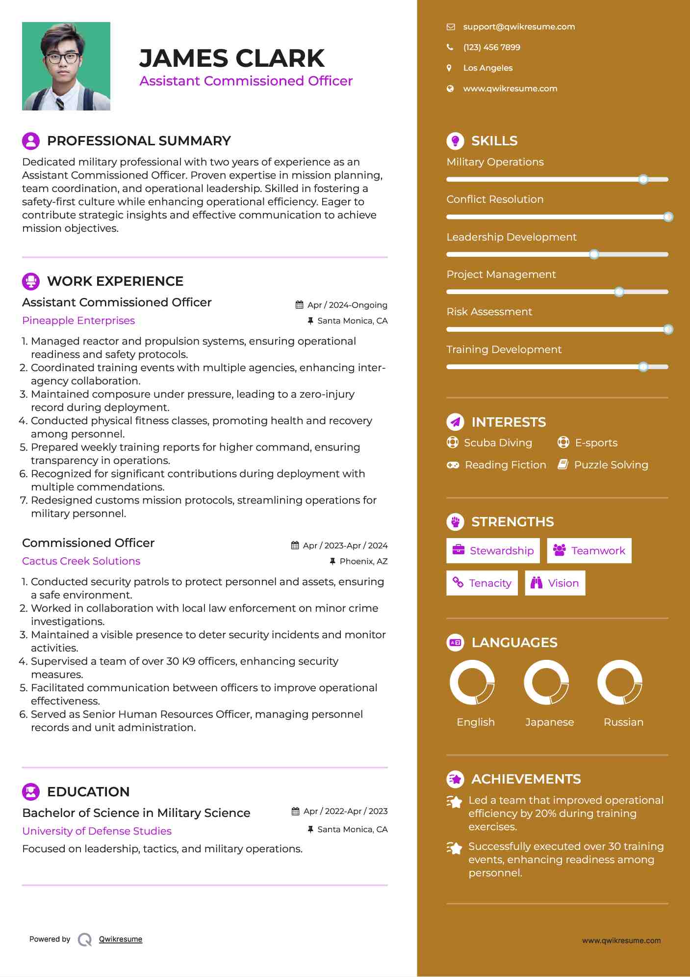 Assistant Commissioned Officer
 Resume Example