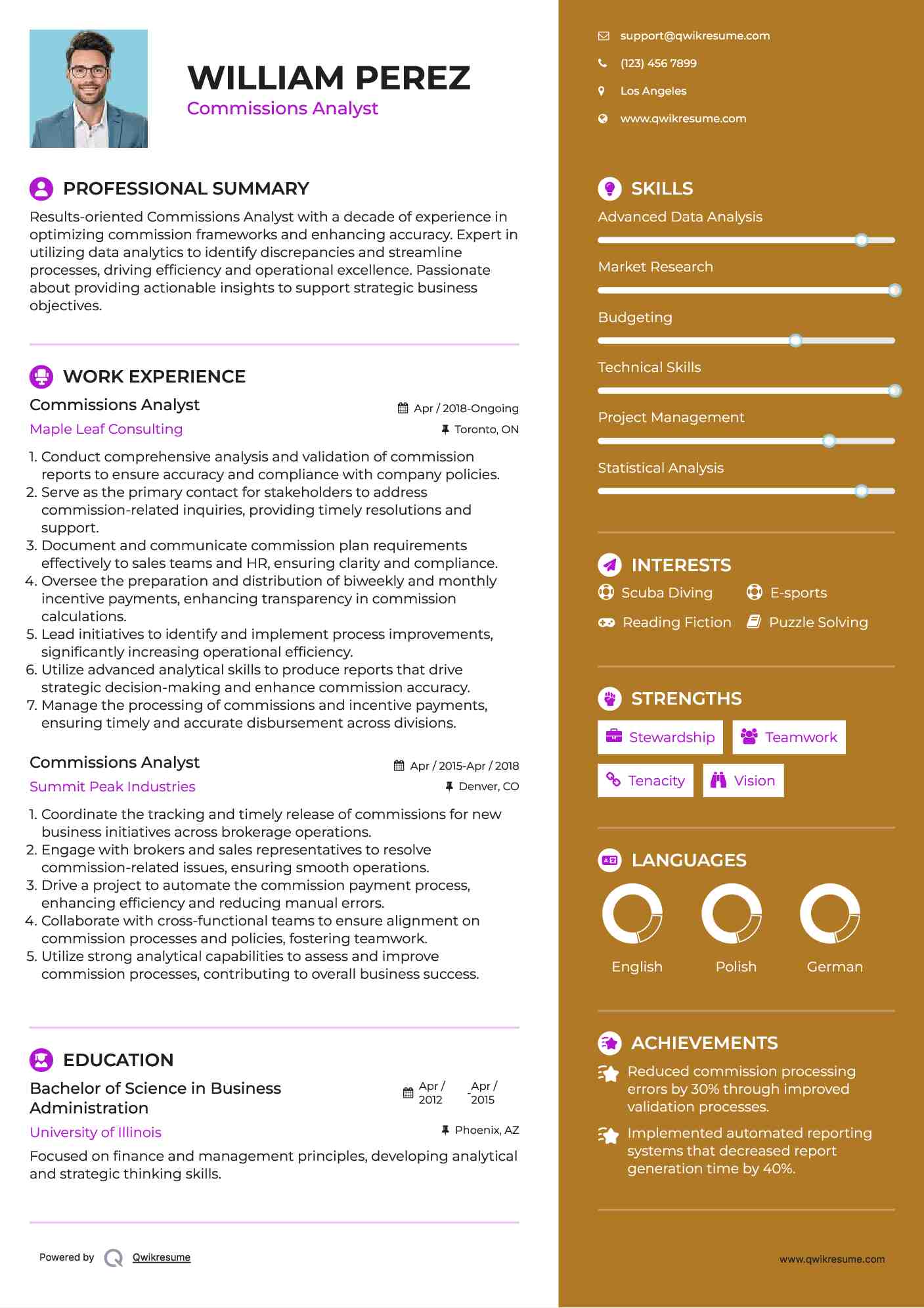 Commissions Analyst Resume Template