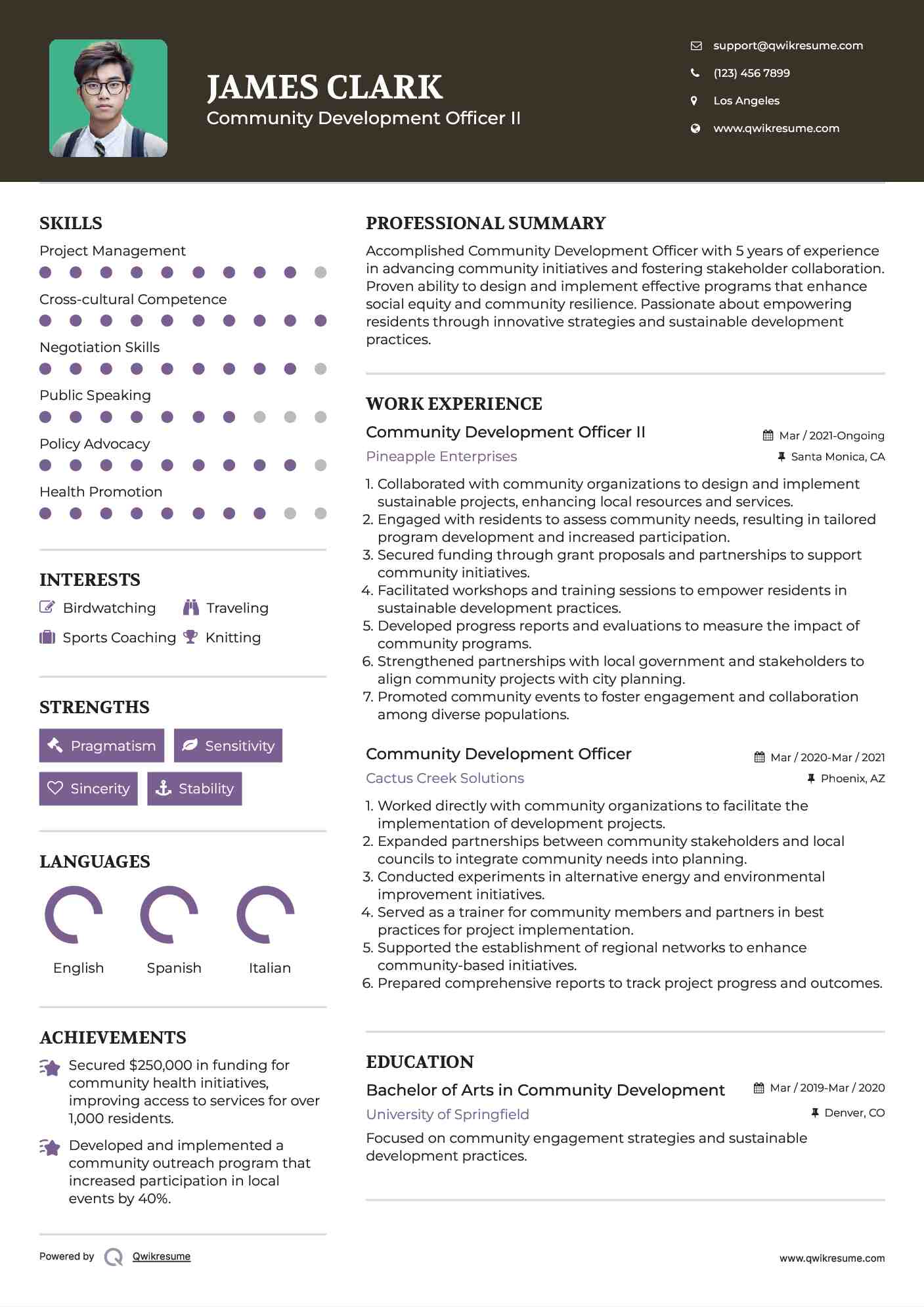 Community Development Officer II Resume Example