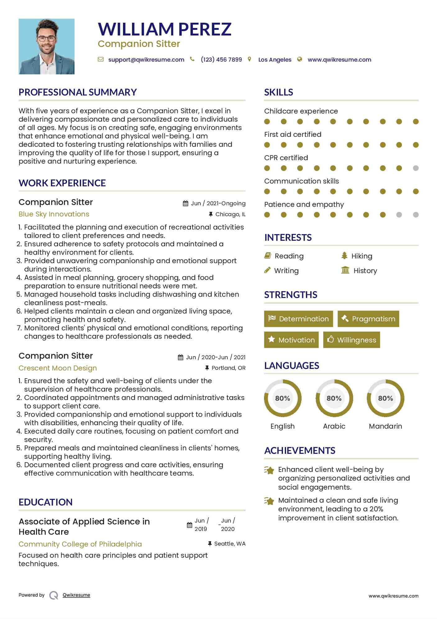 Companion Sitter Resume Sample