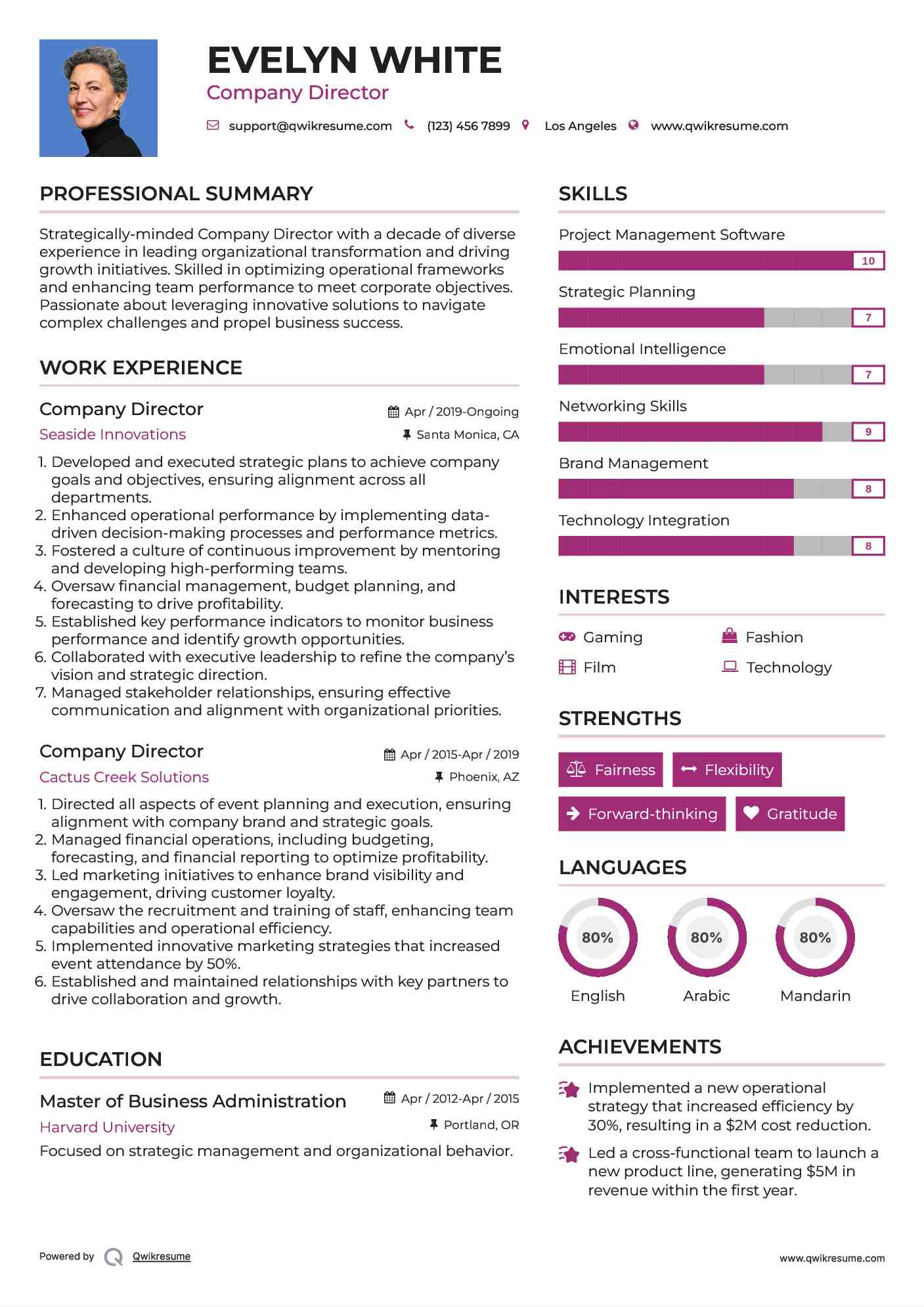 Company Director Resume Model