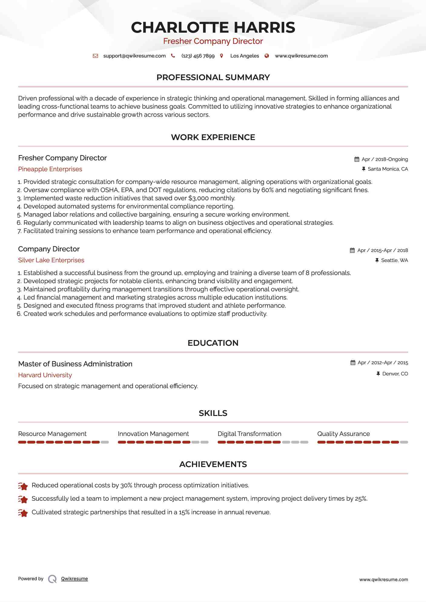 Fresher Company Director Resume Model