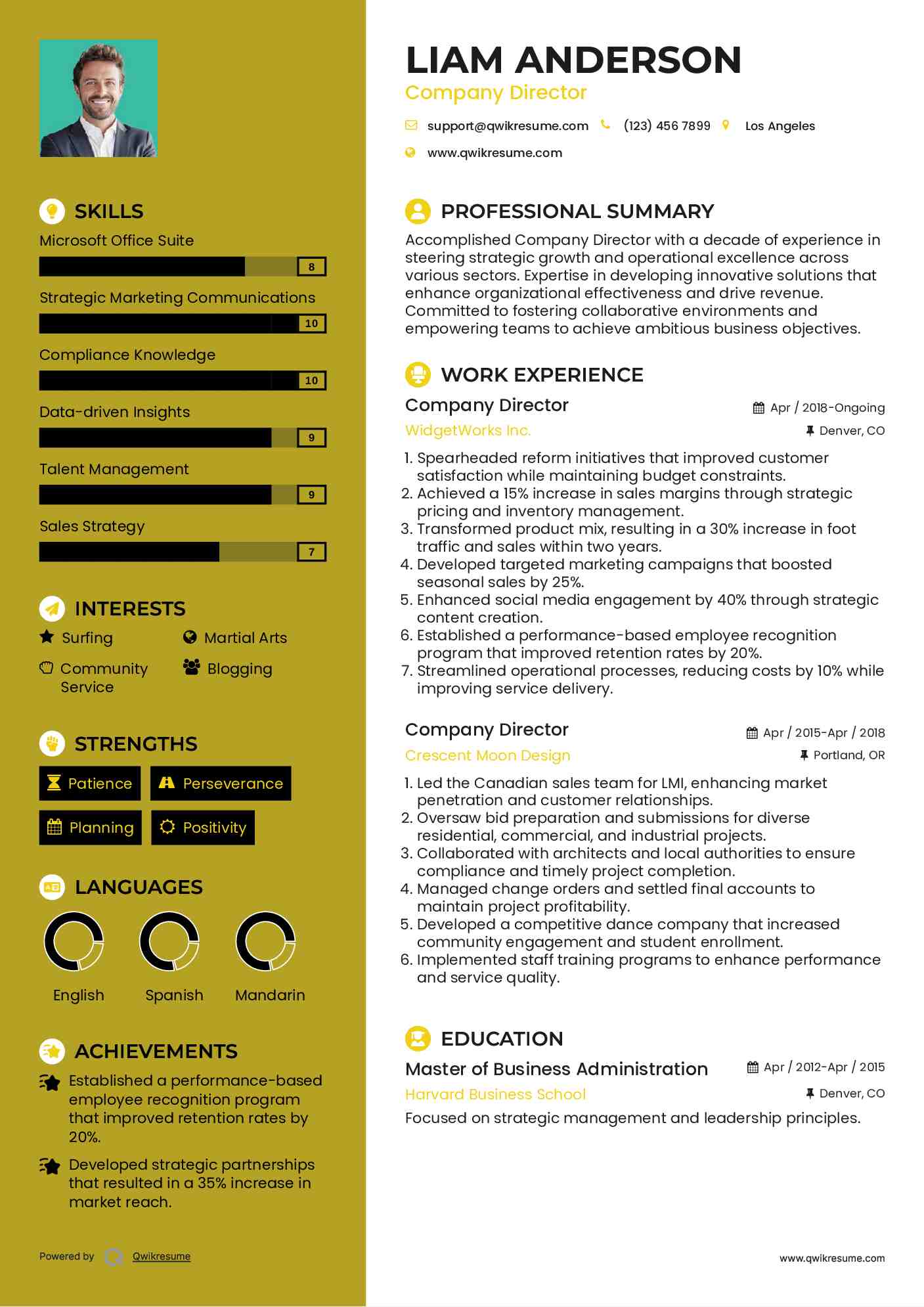 Company Director Resume Sample