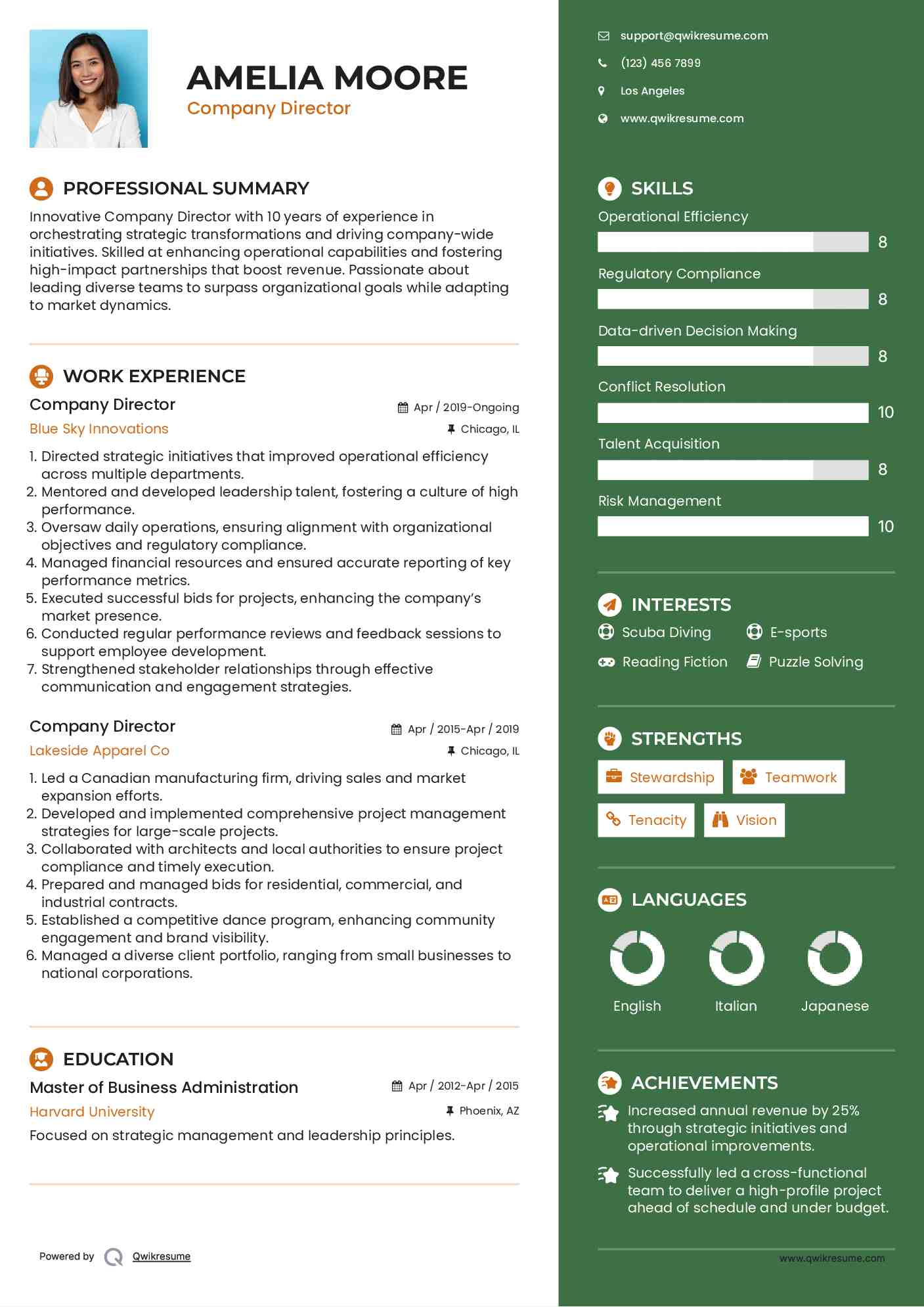 Company Director Resume Template