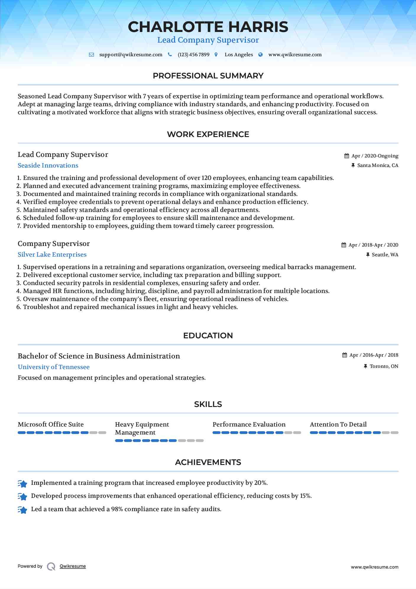 Lead Company Supervisor Resume Sample