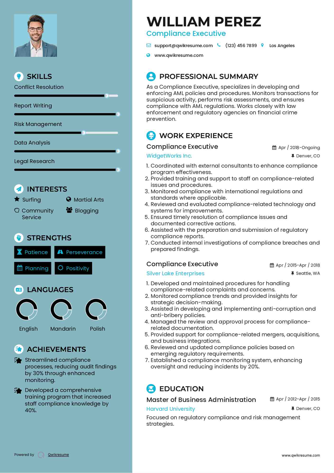 Compliance Executive Resume Sample