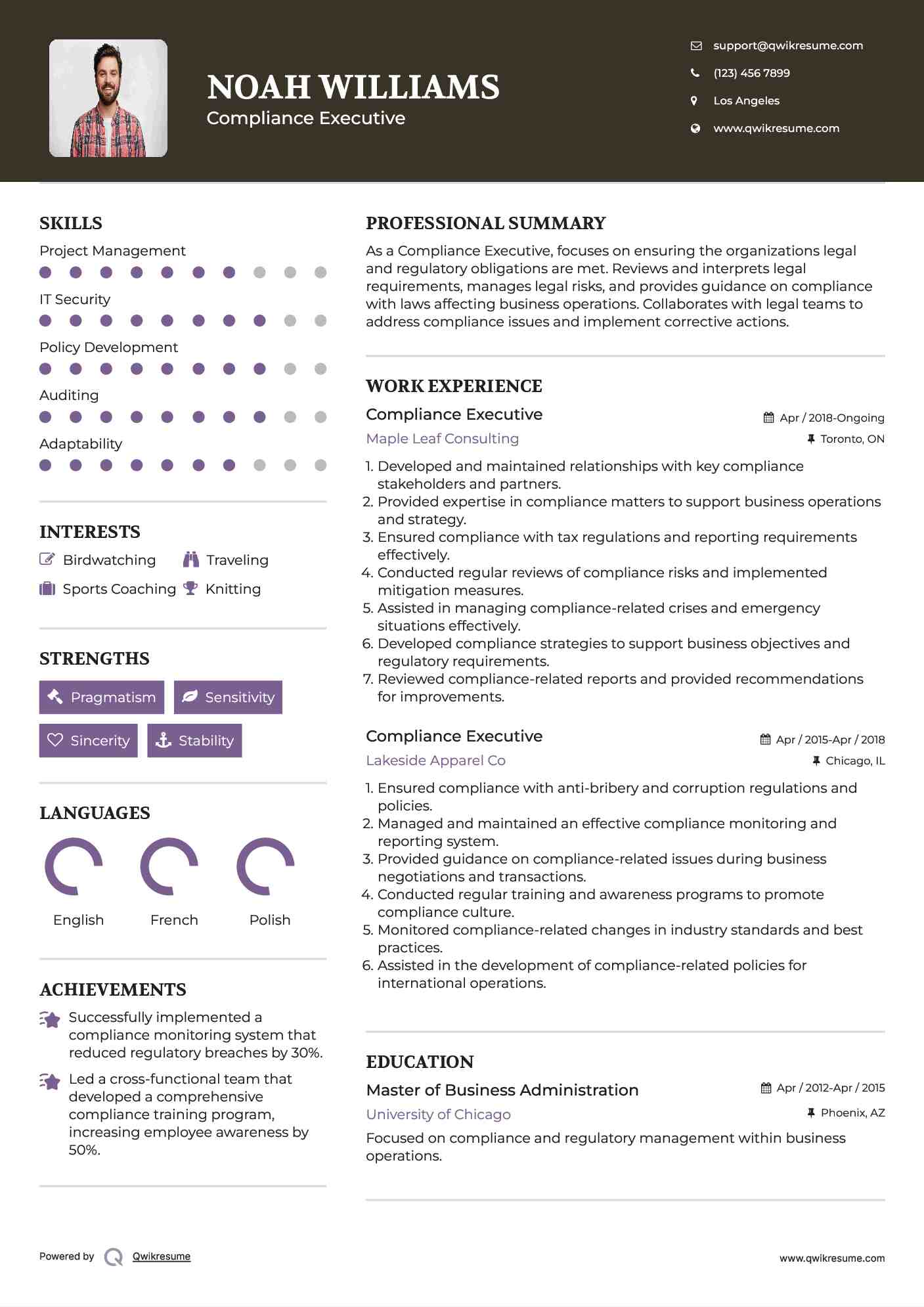 Compliance Executive Resume Example