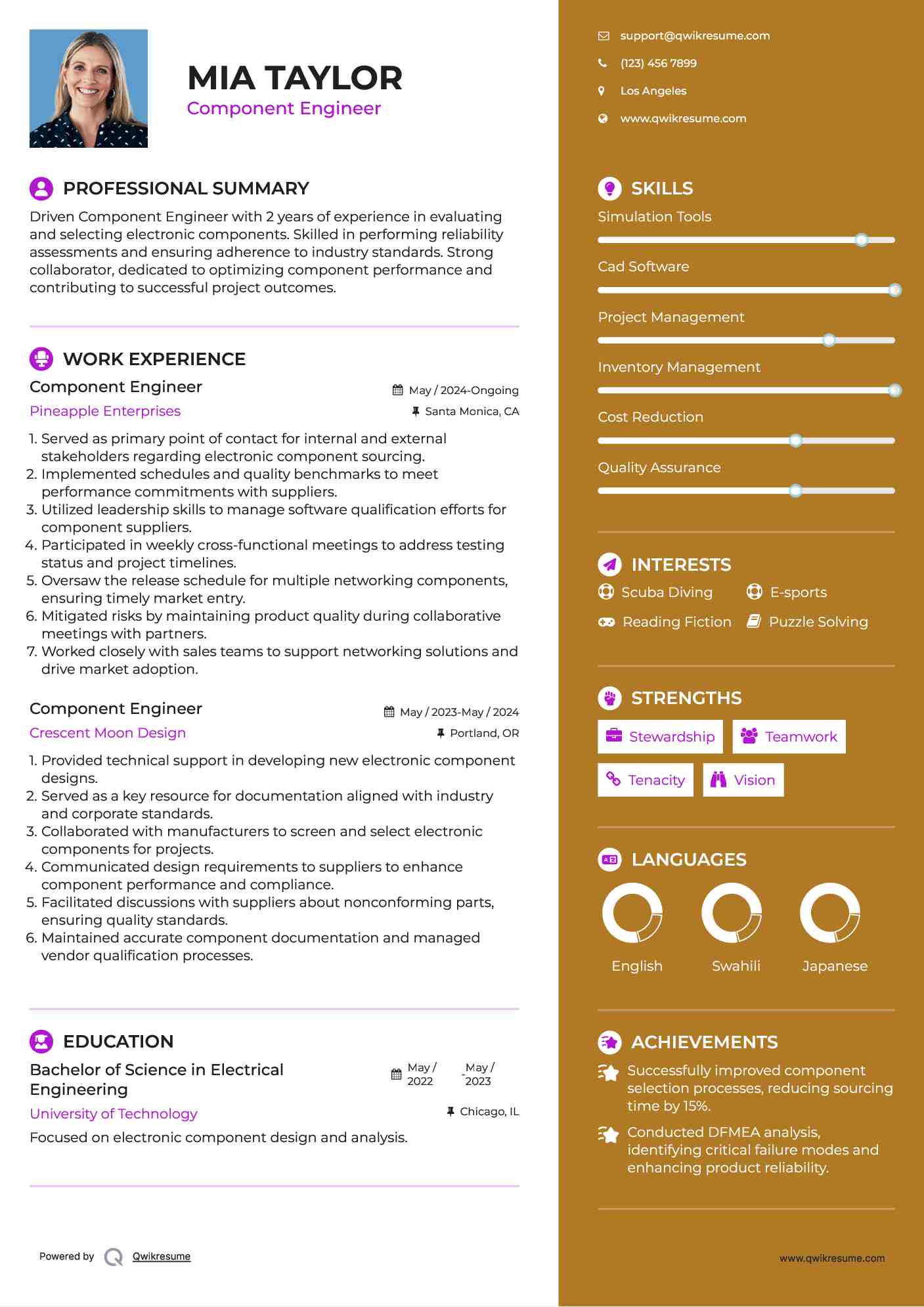 Component Engineer Resume Format