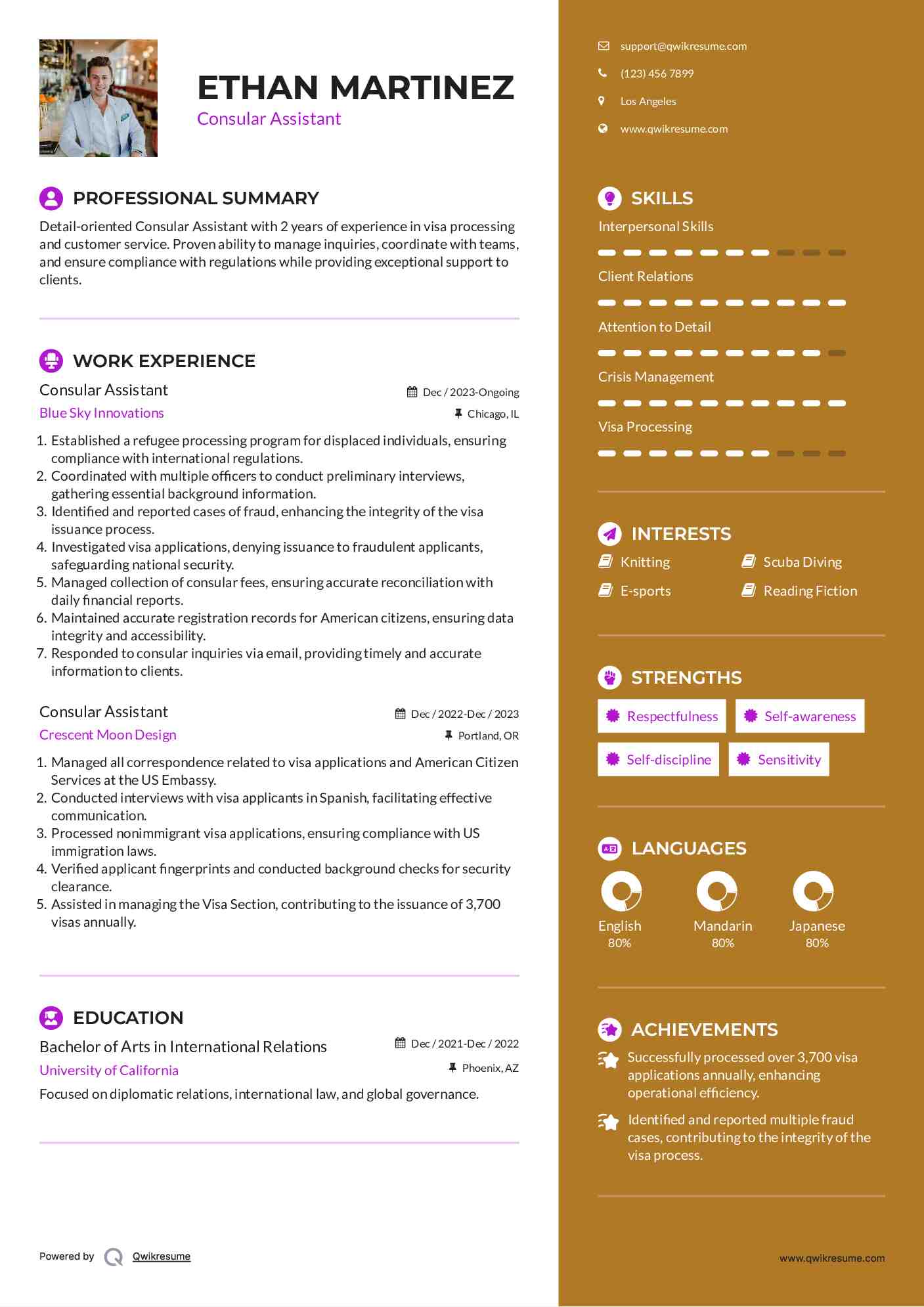Consular Assistant Resume Sample