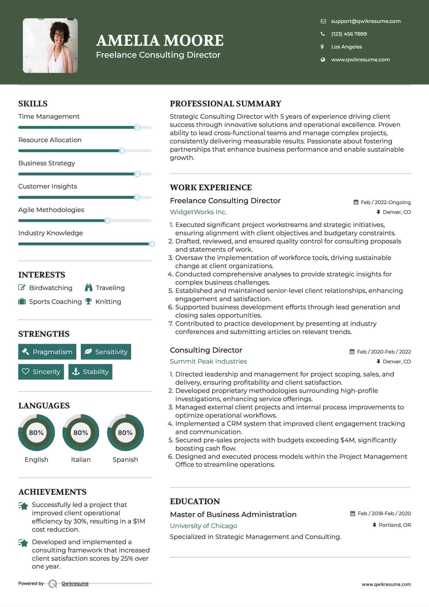 Freelance Consulting Director Resume Model