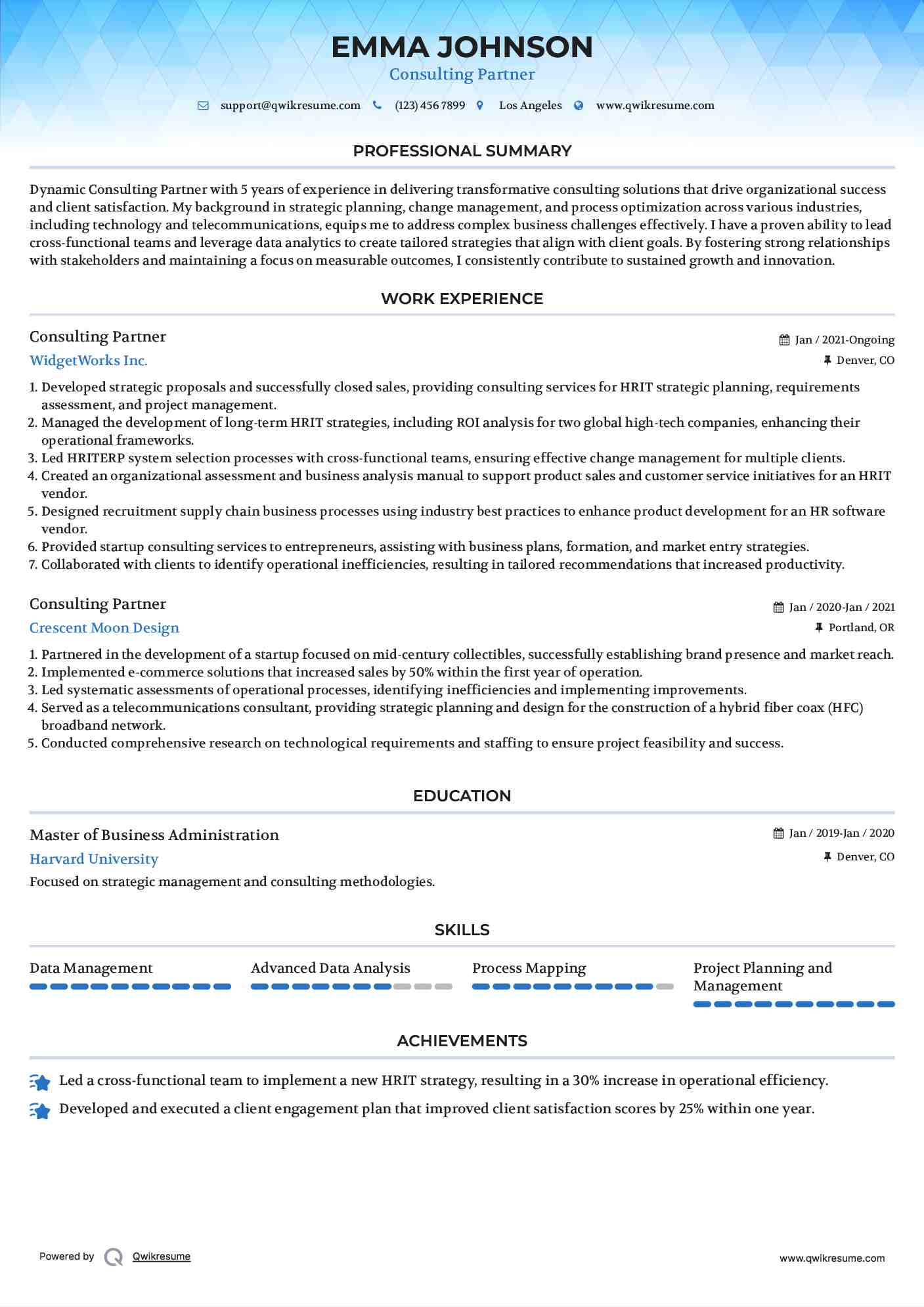 Consulting Partner Resume Example